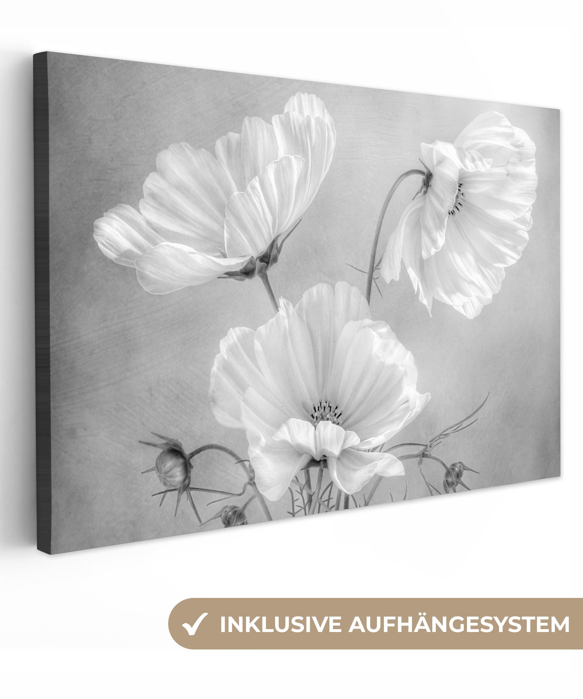 OneMillionCanvasses® Leinwandbild Stilleben - Blumen - günstig online kaufen