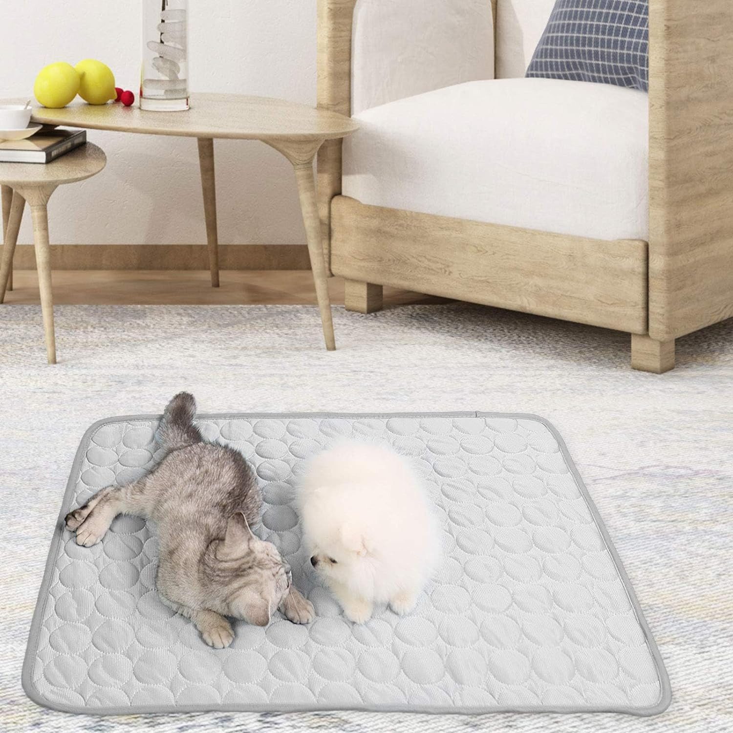 Coonoor Hundematte Kühlmatte für Katze und günstig online kaufen