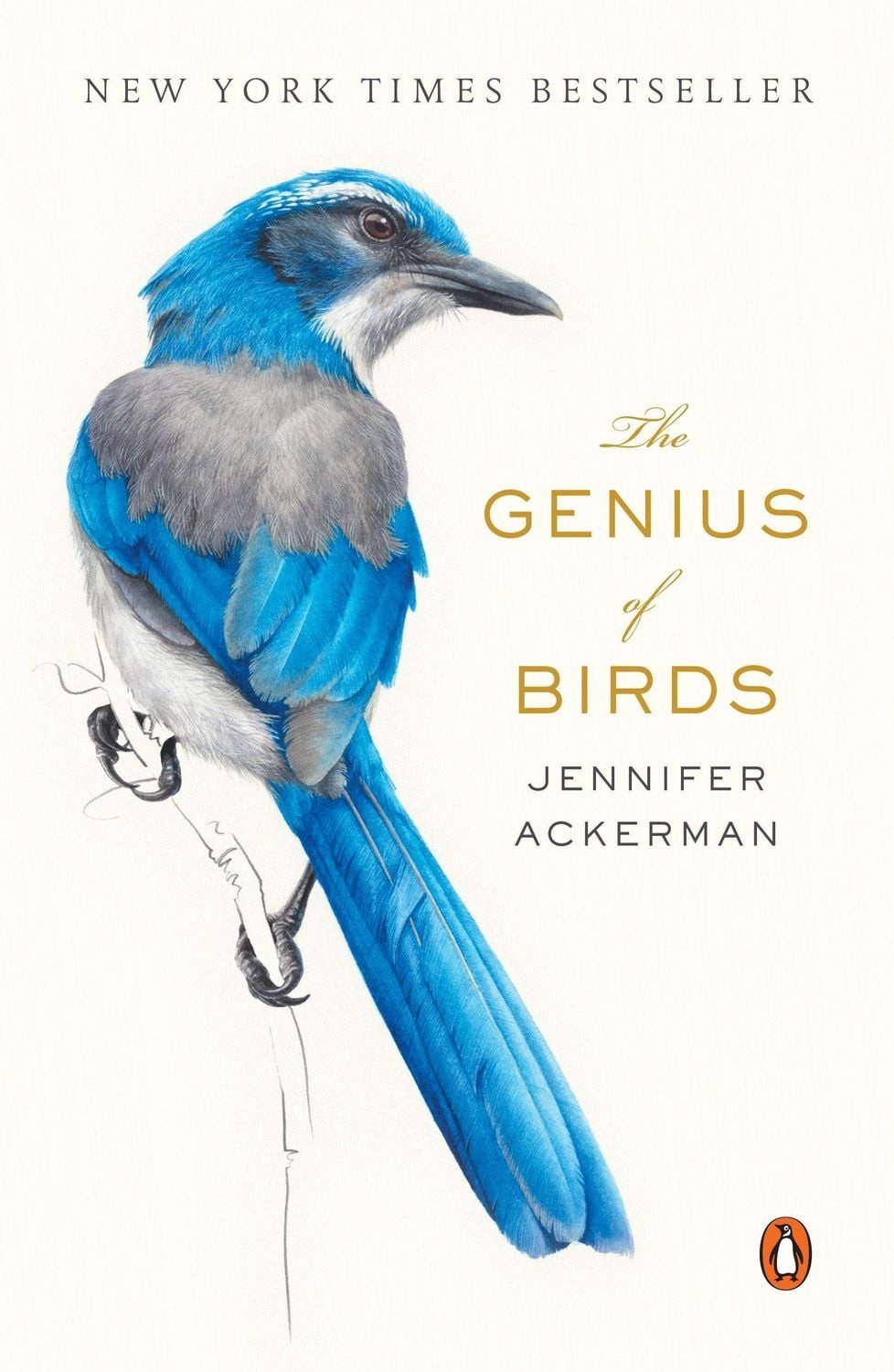 The Genius of Birds / Jennifer Ackerman