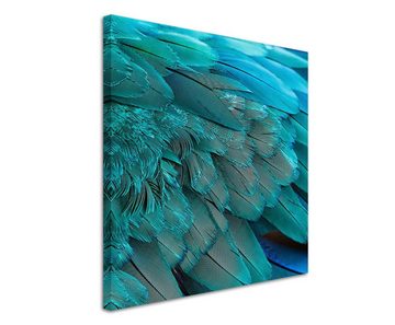 Sinus Art Leinwandbild Naturfotografie – Flügel eines türkisen Aras auf Leinwand