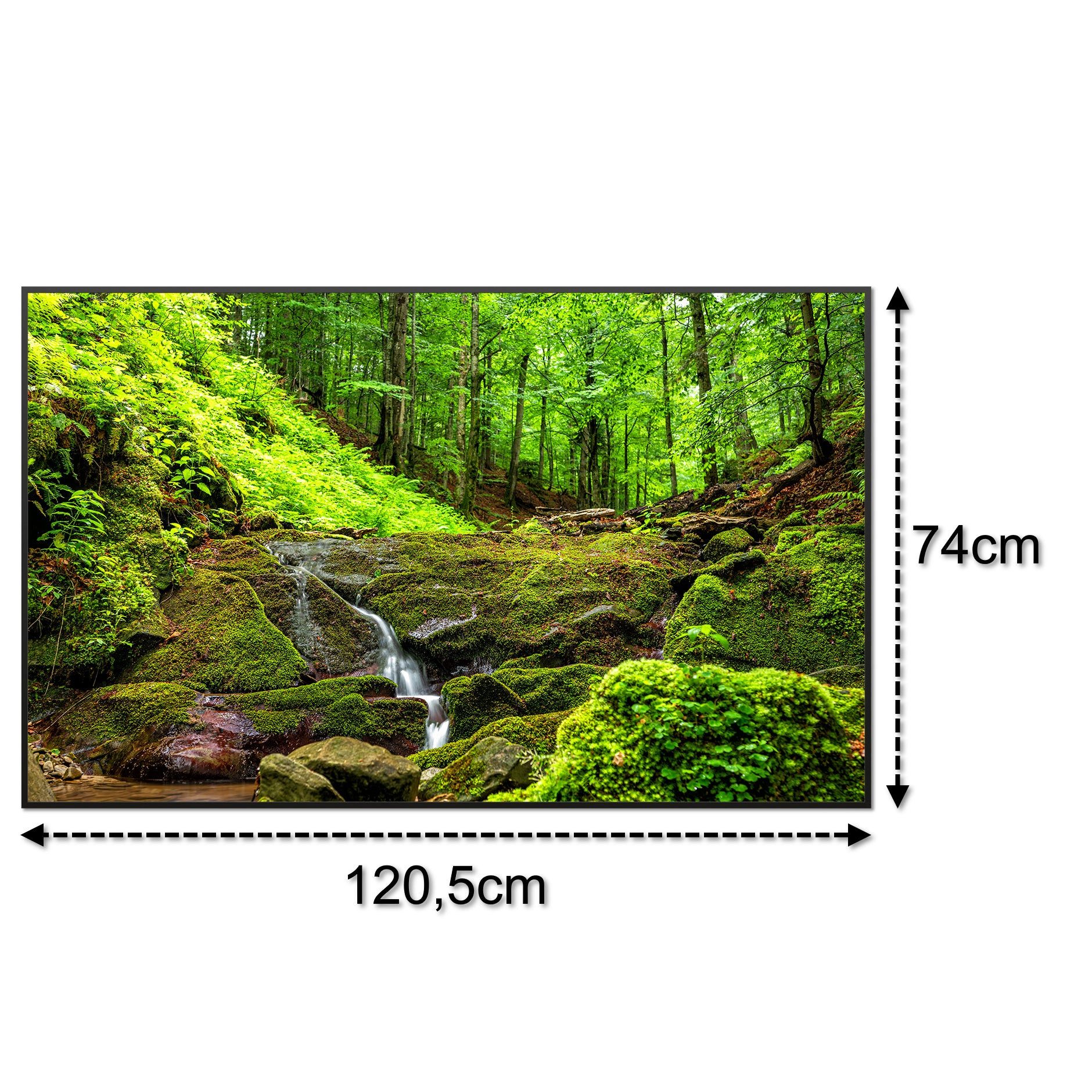 STEINFELD Heizsysteme Infrarotheizung Bild 900W, 120x74cm, Made in Germany, 7 Jahre Garantie, mit Thermostat, Schwarz