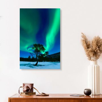 Posterlounge Forex-Bild Arild Heitmann, Aurora Borealis, Forramarka, Troms, Norway., Fotografie