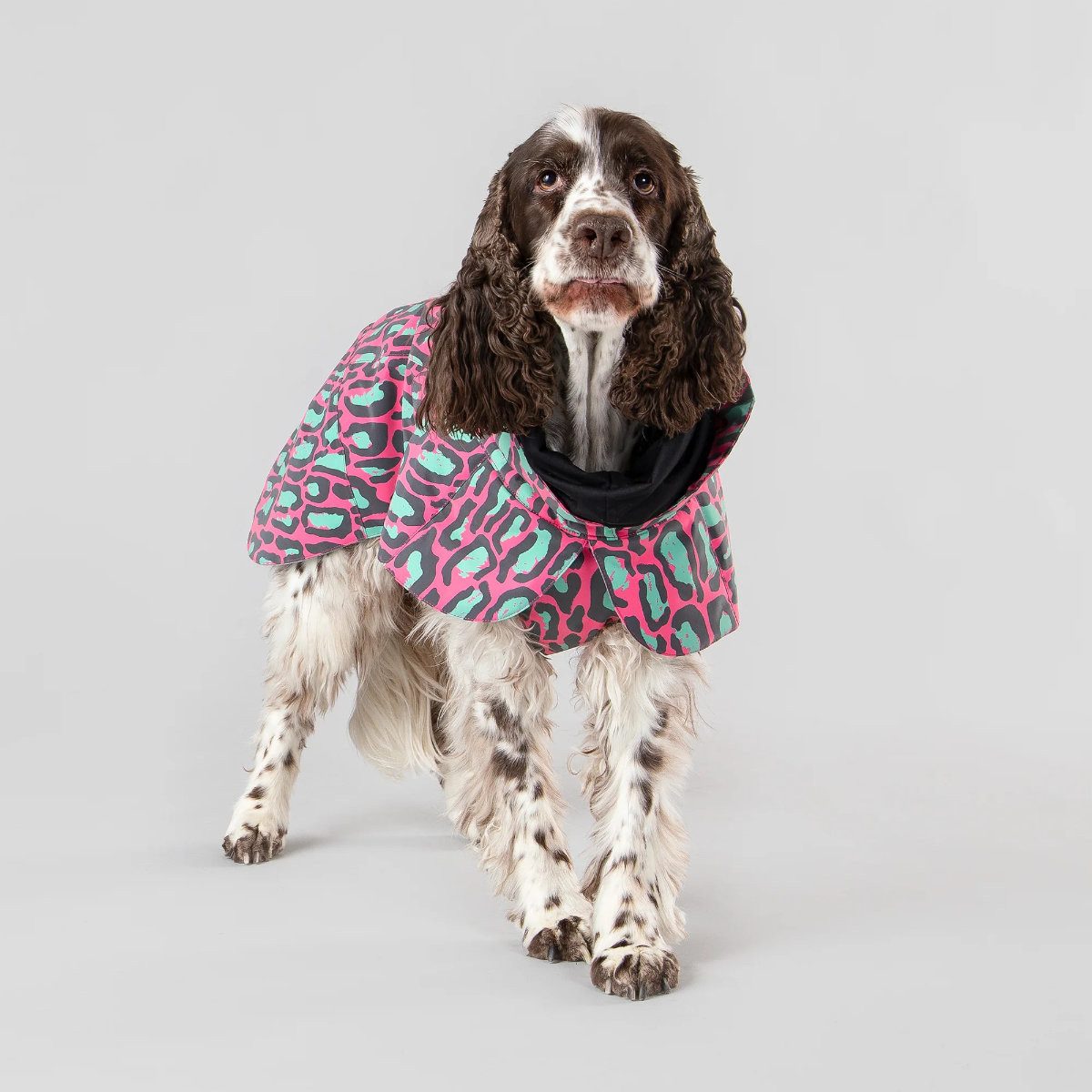 PAIKKA Hundemantel Hunde Winter-Jacke reflektierend "Visibility" jungle/pink