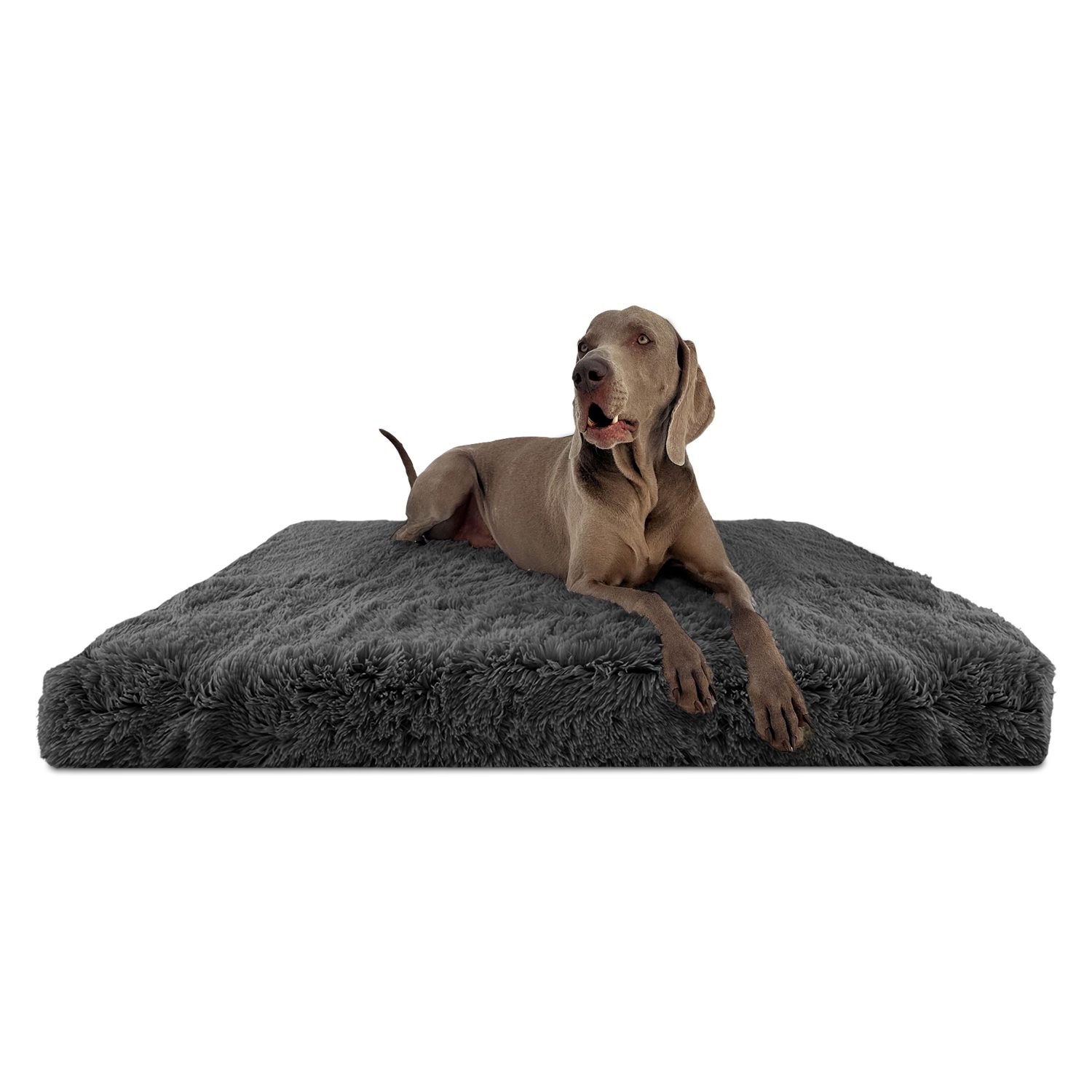 tierlando® Tierbett Orthopädische Hundematratze PITT Shaggy günstig online kaufen