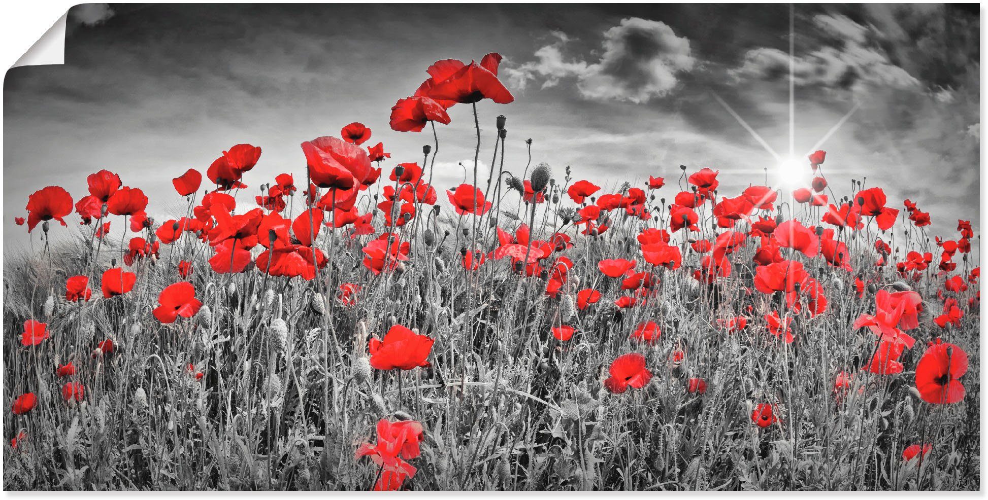 Artland Wandbild Idyllisches Mohnblumenfeld mit Sonne, Blumen (1 St), als Alubild, Leinwandbild, Poster in verschied. Größen