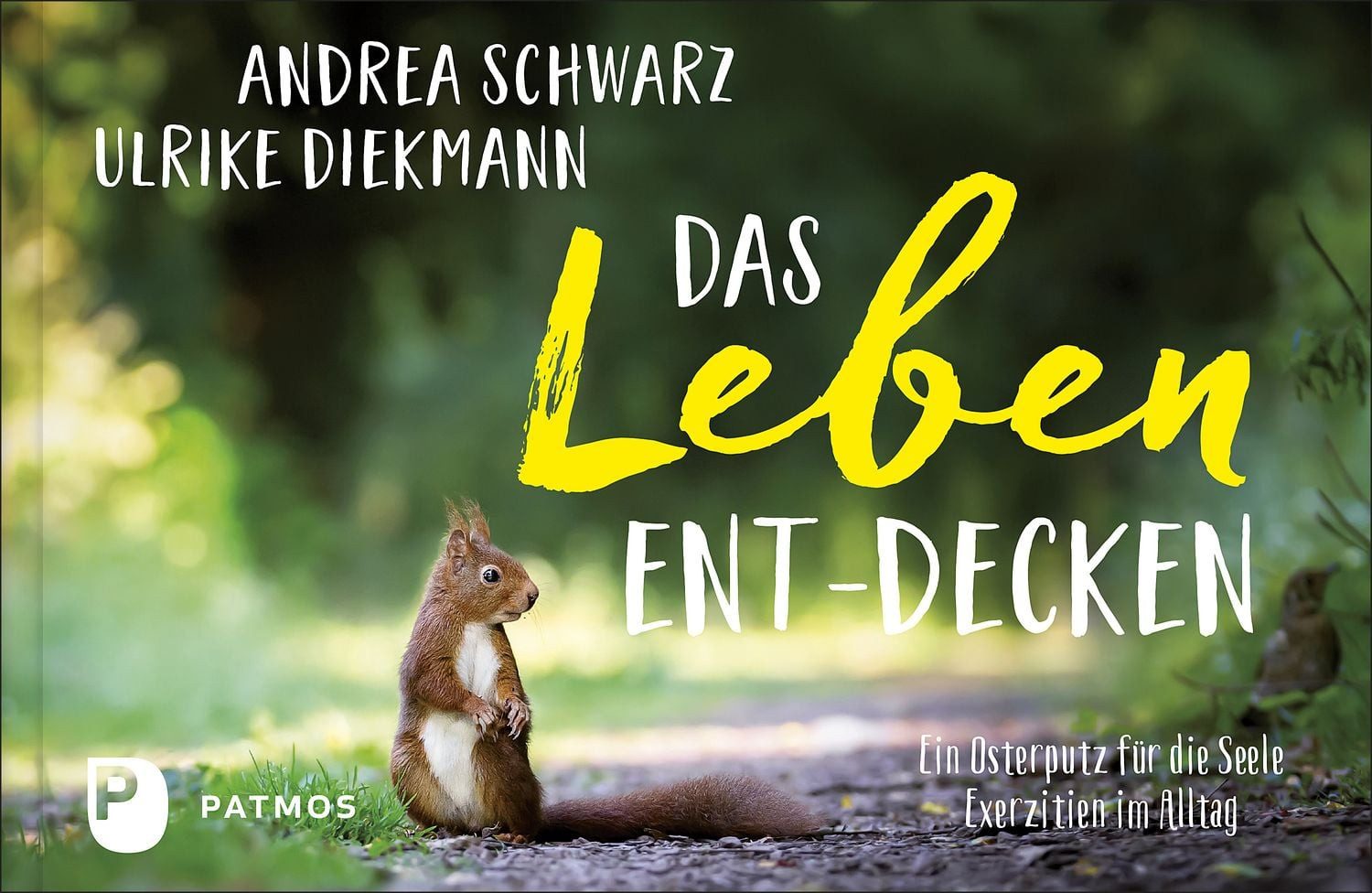Das Leben ent-decken / Andrea Schwarz, Schwester Ulrike Diekmann