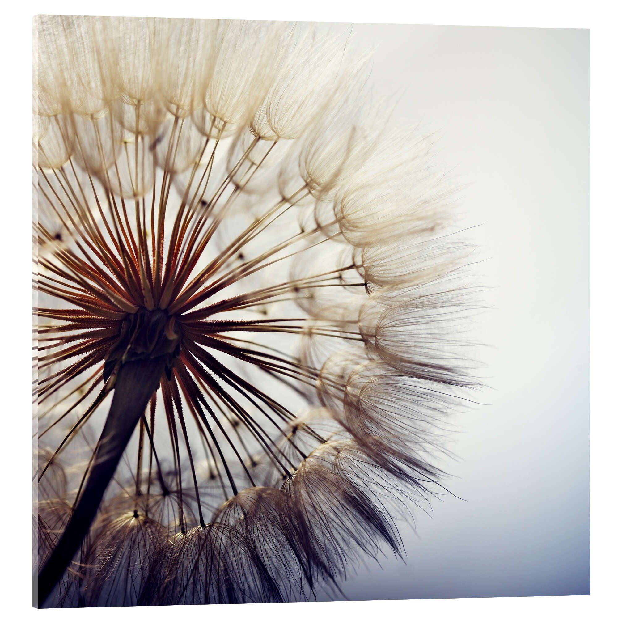 Acrylglasbild Editors Choice
