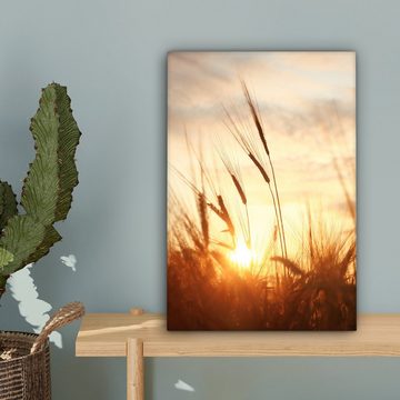 OneMillionCanvasses® Leinwandbild Schilf - Gras - Sonnenuntergang - Natur - Horizont, (1 St), Leinwandbild fertig bespannt inkl. Zackenaufhänger, Gemälde, 20x30 cm