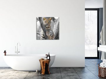 Pixxprint Glasbild majestätischer Leopard auf Baum, majestätischer Leopard auf Baum (1 St), Glasbild aus Echtglas, inkl. Aufhängungen und Abstandshalter