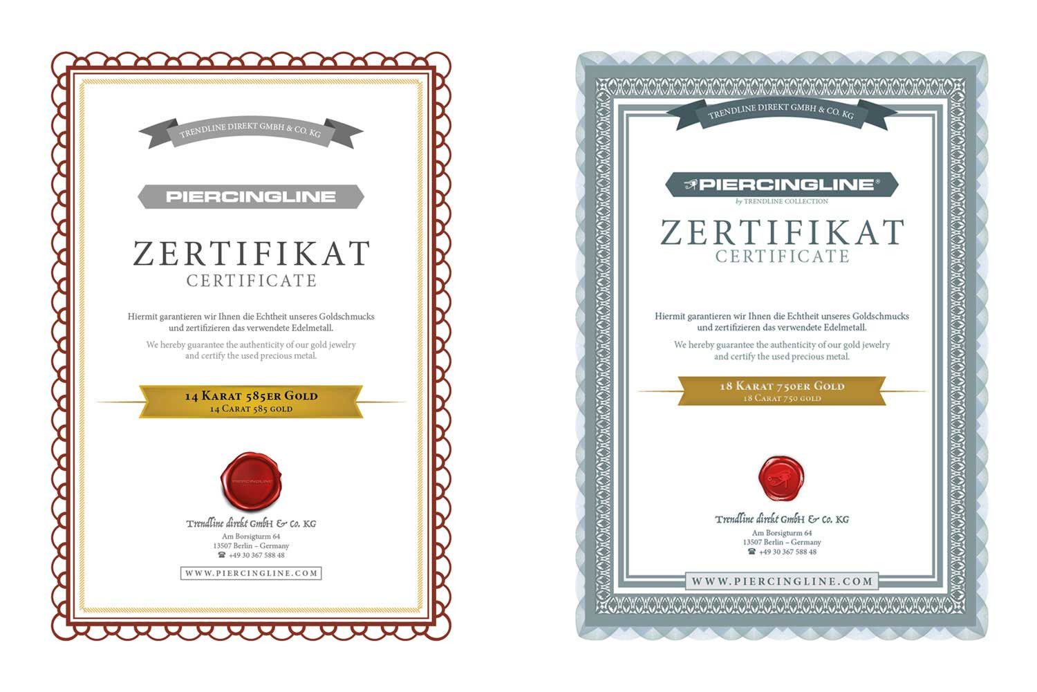 Piercing-Set 14/18 Karat Gold Segmentring Clicker