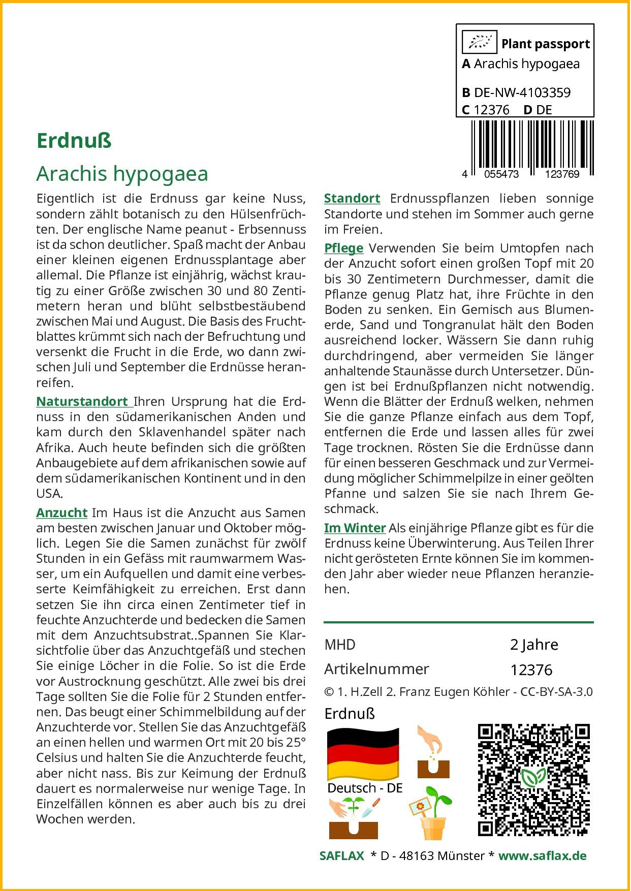 SAFLAX Blumensamen SAFLAX - Samen - Erdnuß