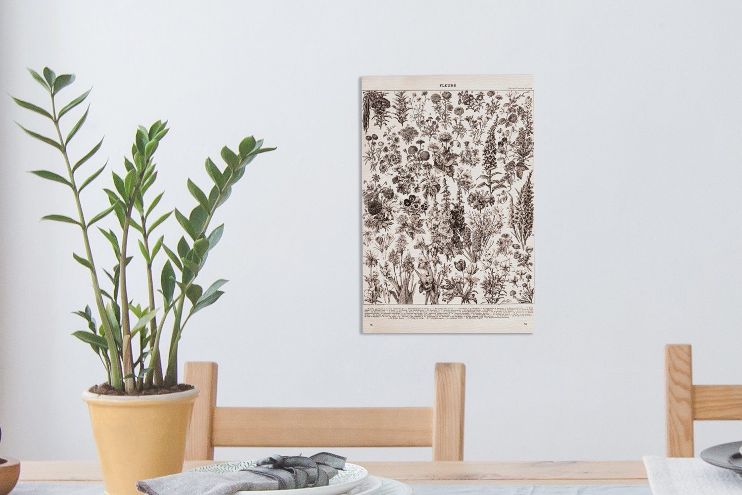(1 St), cm - Zackenaufhänger, Weiß, bespannt Schwarz - fertig Leinwandbild OneMillionCanvasses® Leinwandbild Gemälde, Blumen inkl. 20x30 Pflanzen -