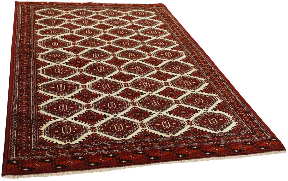 Nain 151x247 6 Orientteppich Trading, Höhe: Turkaman Perserteppich, Orientteppich rechteckig, / mm Handgeknüpfter