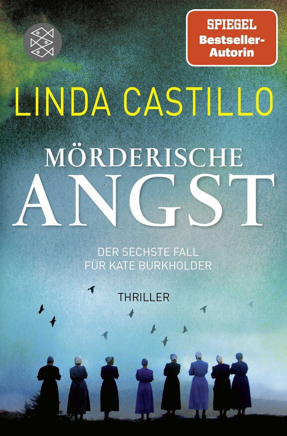Mörderische Angst / Kate Burkholder Band 6 / Linda Castillo, Thriller, Spannender Thriller bei den Amischen