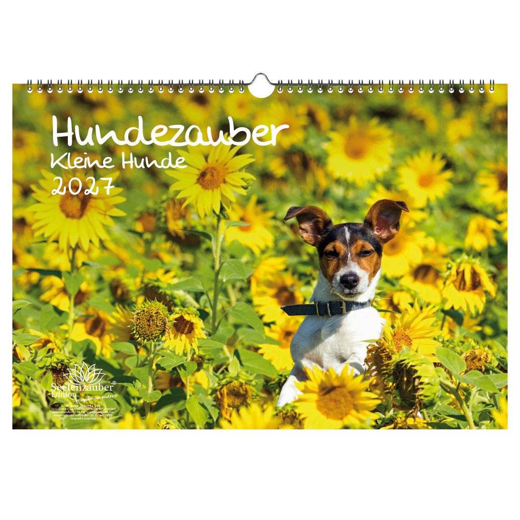 Seelenzauber Wandkalender Hundezauber Kleine Hunde DIN A3 Kalender für 2027 Welpen kleine Hunde