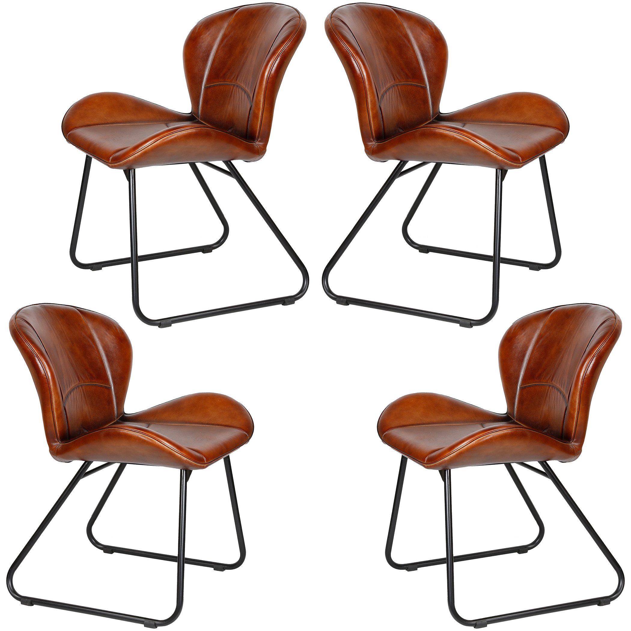 Casa Moro Polsterstuhl Lederstuhl Esszimmerstuhl Echt Leder Rot Braun (einz günstig online kaufen