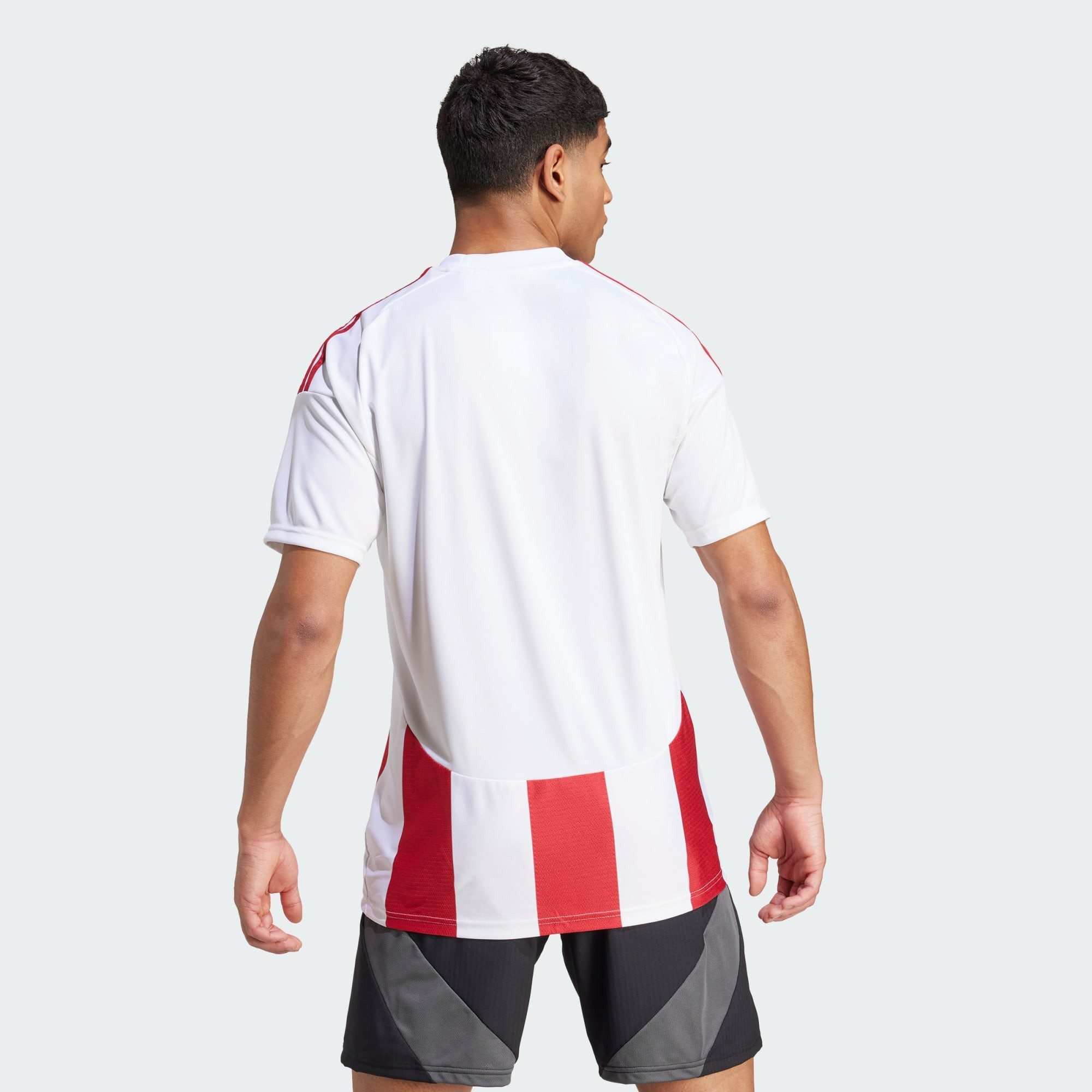 adidas Performance Fußballtrikot STRIPED 24 TRIKOT (1-tlg) günstig online kaufen