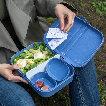 KOZIOL Lunchbox m. Trennsteg Pascal L Organic Blue, Kunststoff, (1-tlg)