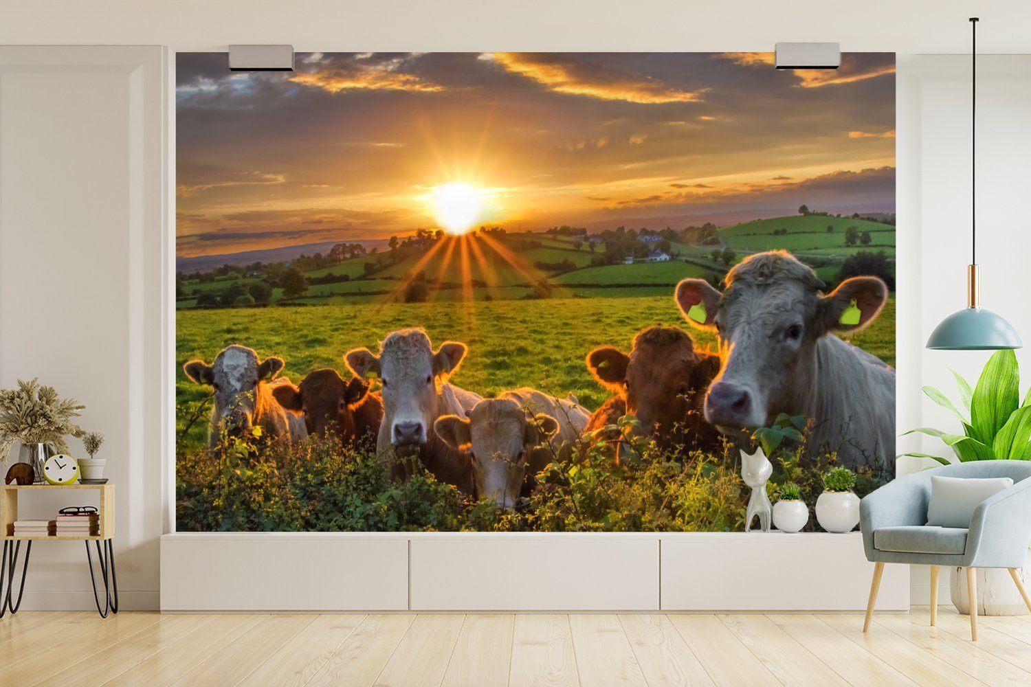 MuchoWow Fototapete Kühe für Vinyl Schlafzimmer, Matt, bedruckt, Wohnzimmer, (6 St), Kinderzimmer, in Wallpaper Tapete Irland
