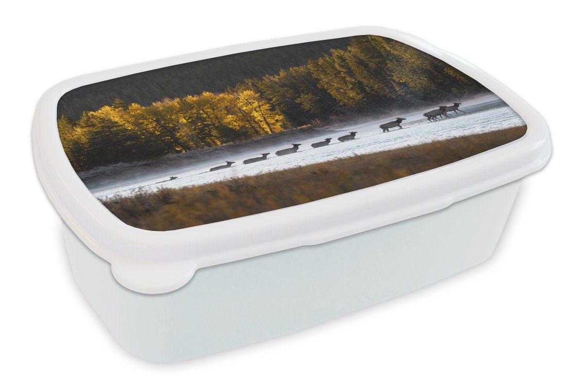 MuchoWow Lunchbox Hirsch - Wald - Fluss, Kunststoff, (2-tlg), Brotbox für Kinder und Erwachsene, Brotdose, für Jungs und Mädchen weiß | Lunchboxen