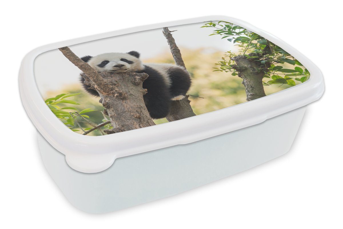 MuchoWow Lunchbox Panda - Baum - Licht, Kunststoff, (2-tlg), Brotbox für Kinder und Erwachsene, Brotdose, für Jungs und Mädchen weiß
