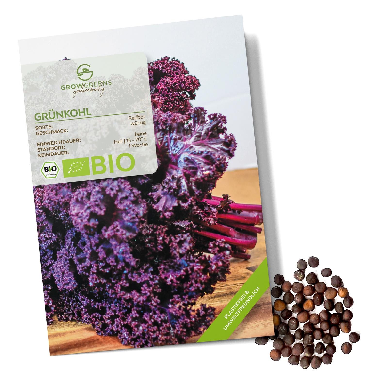 Growgreens Gemüsesamen BIO Grünkohl Samen (Redbor) günstig online kaufen