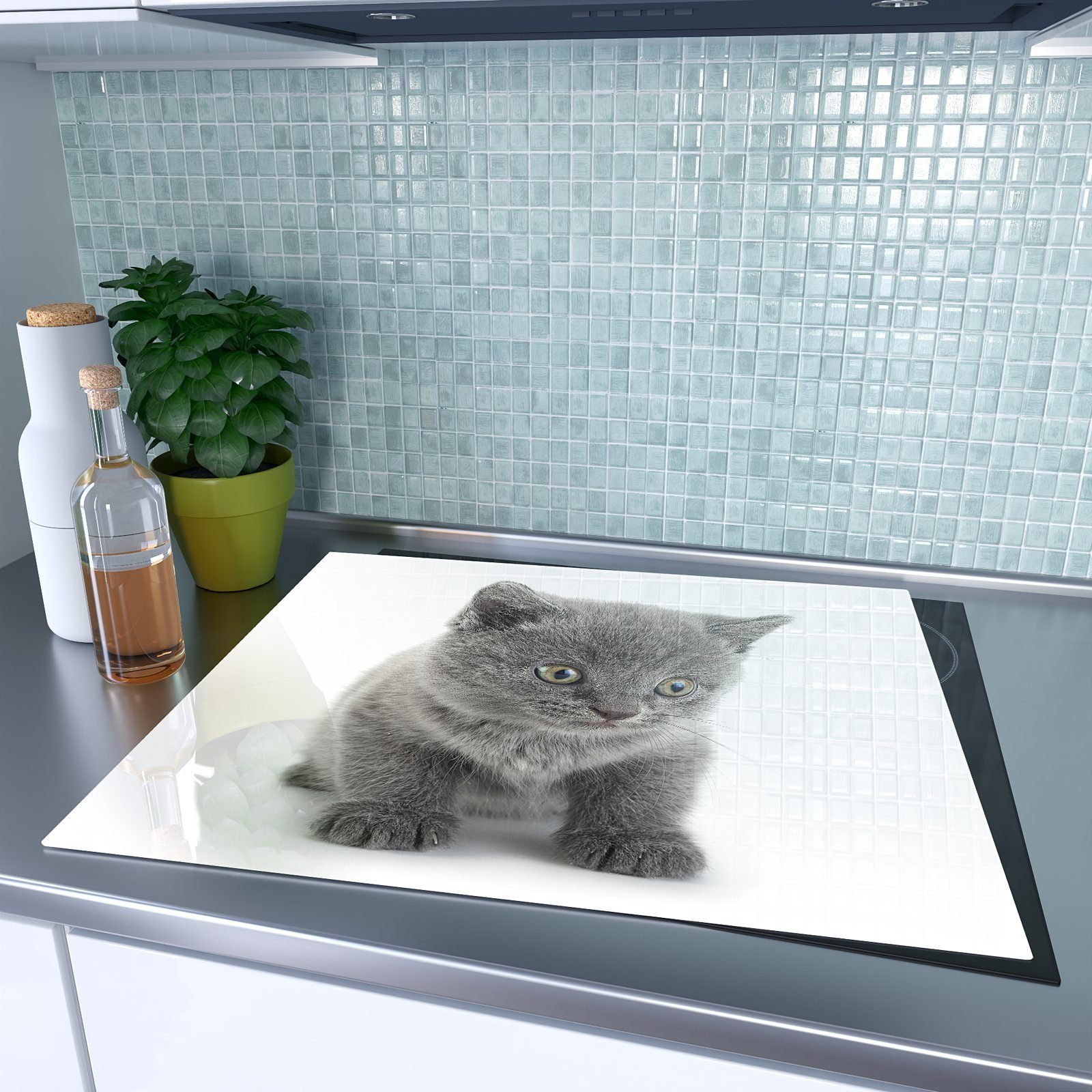Katze (1 Glas Glas, Herd-Abdeckplatte Graue Herdabdeckplatte aus Wand, heller tlg) Spritzschutz Primedeco vor