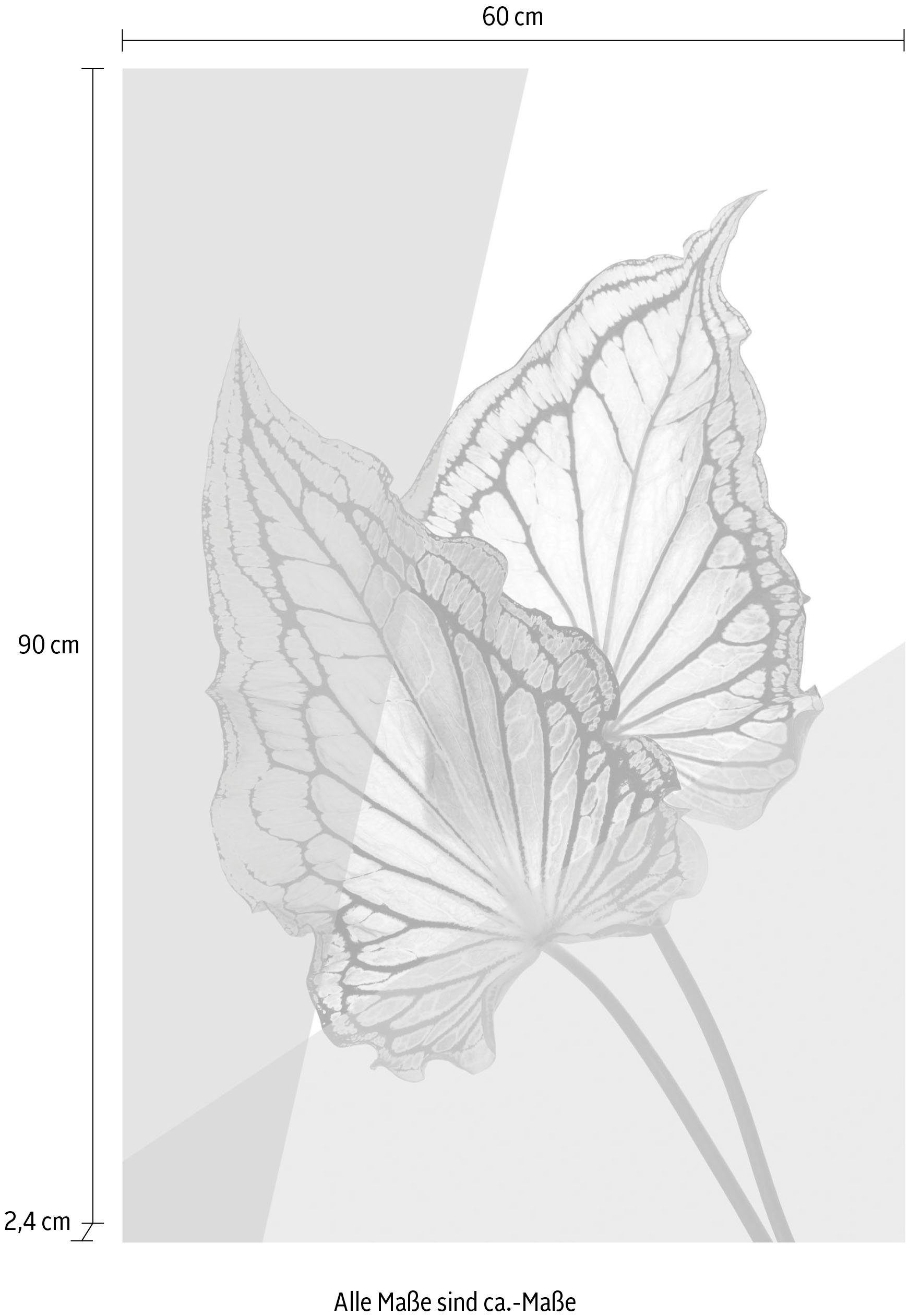 Acrylglasbild queence Blätter