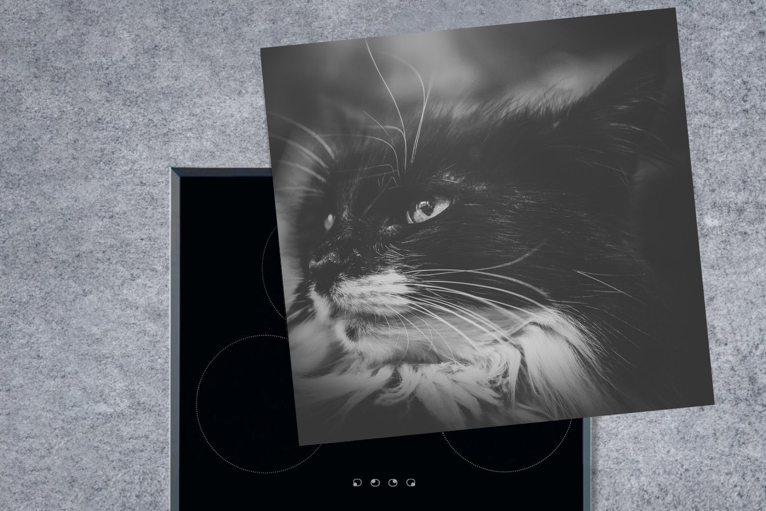 Herdblende-/Abdeckplatte Vinyl, cm, für MuchoWow Katze blickende Arbeitsplatte 78x78 (1 und Schwarz tlg), seitwärts Ceranfeldabdeckung, in Weiß, Tierprofil küche
