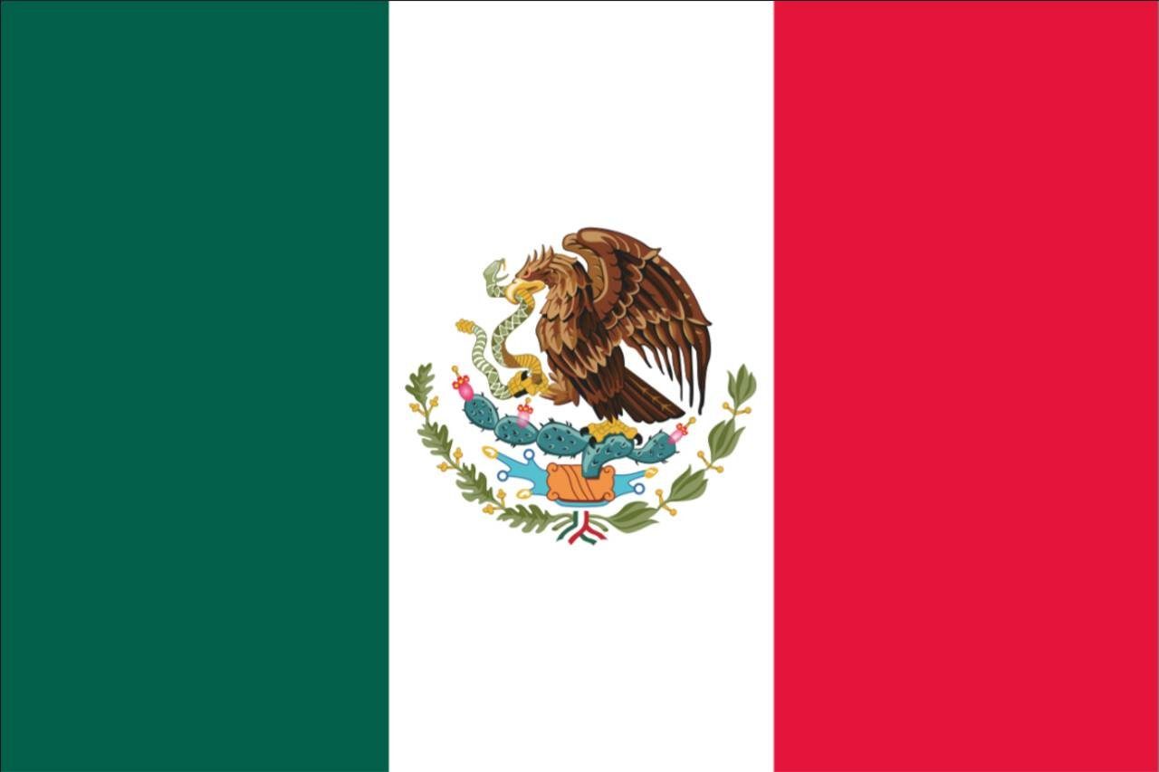 80 Flagge flaggenmeer Mexiko g/m²