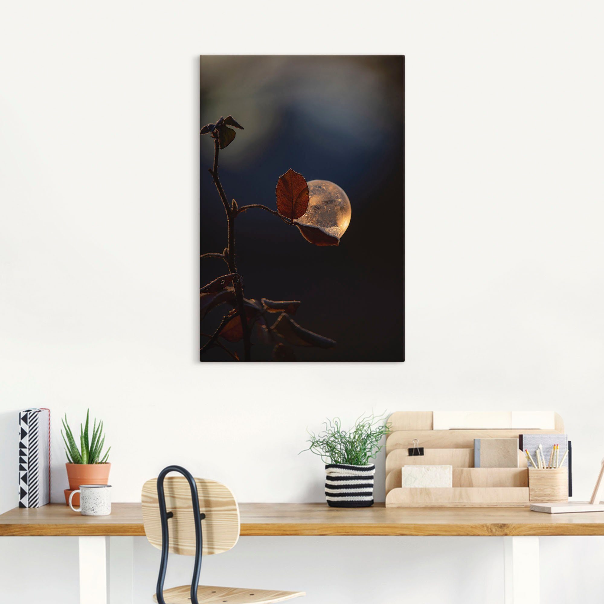 Artland Wandbild versch. Alubild, St), Leinwandbild, in (1 Poster oder Seifenblasen Blätterbilder Wandaufkleber Größen auf Rosenblatt, als