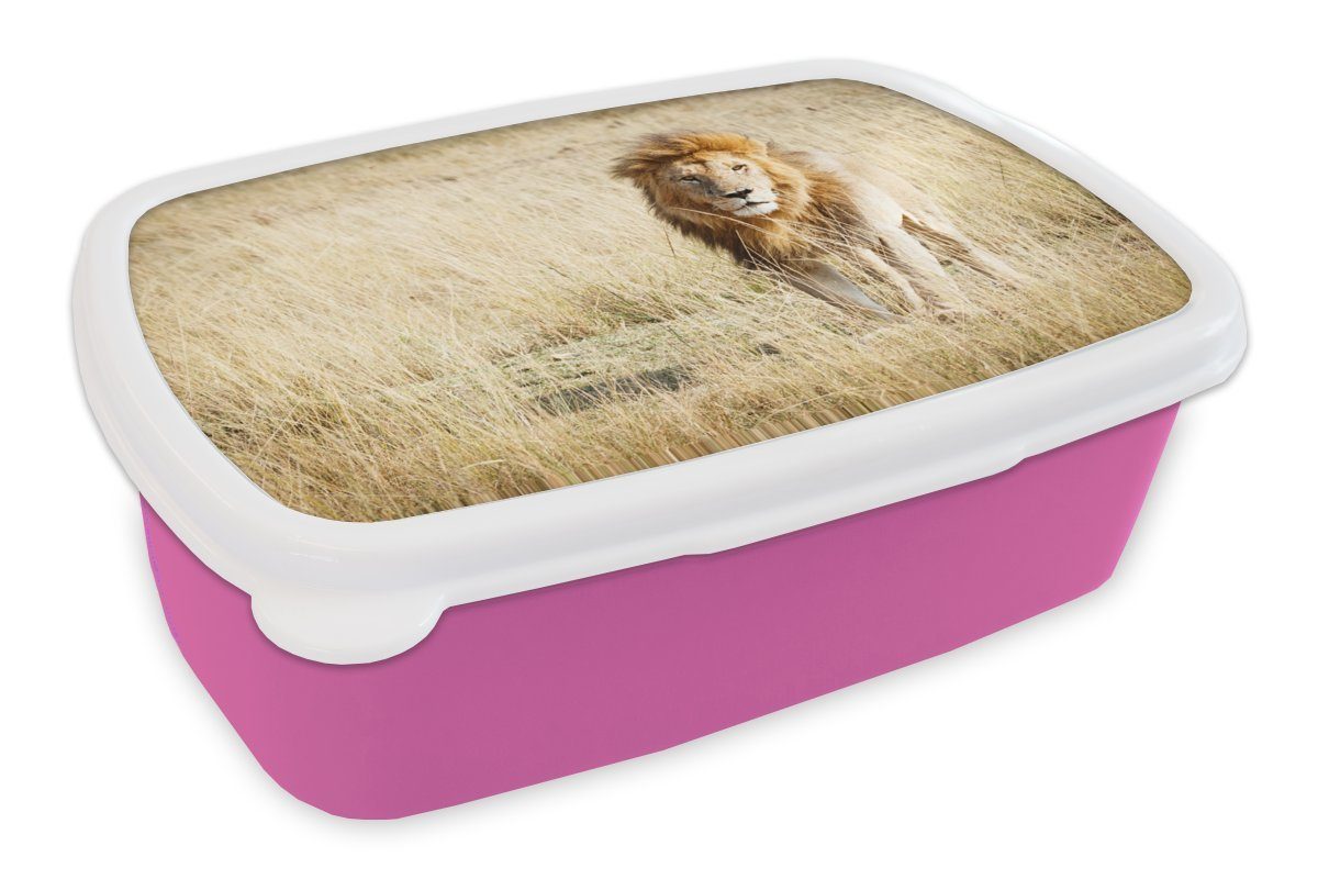 MuchoWow Lunchbox Löwen - Afrika - Gras, Kunststoff, (2-tlg), Brotbox für Erwachsene, Brotdose Kinder, Snackbox, Mädchen, Kunststoff rosa | Lunchboxen