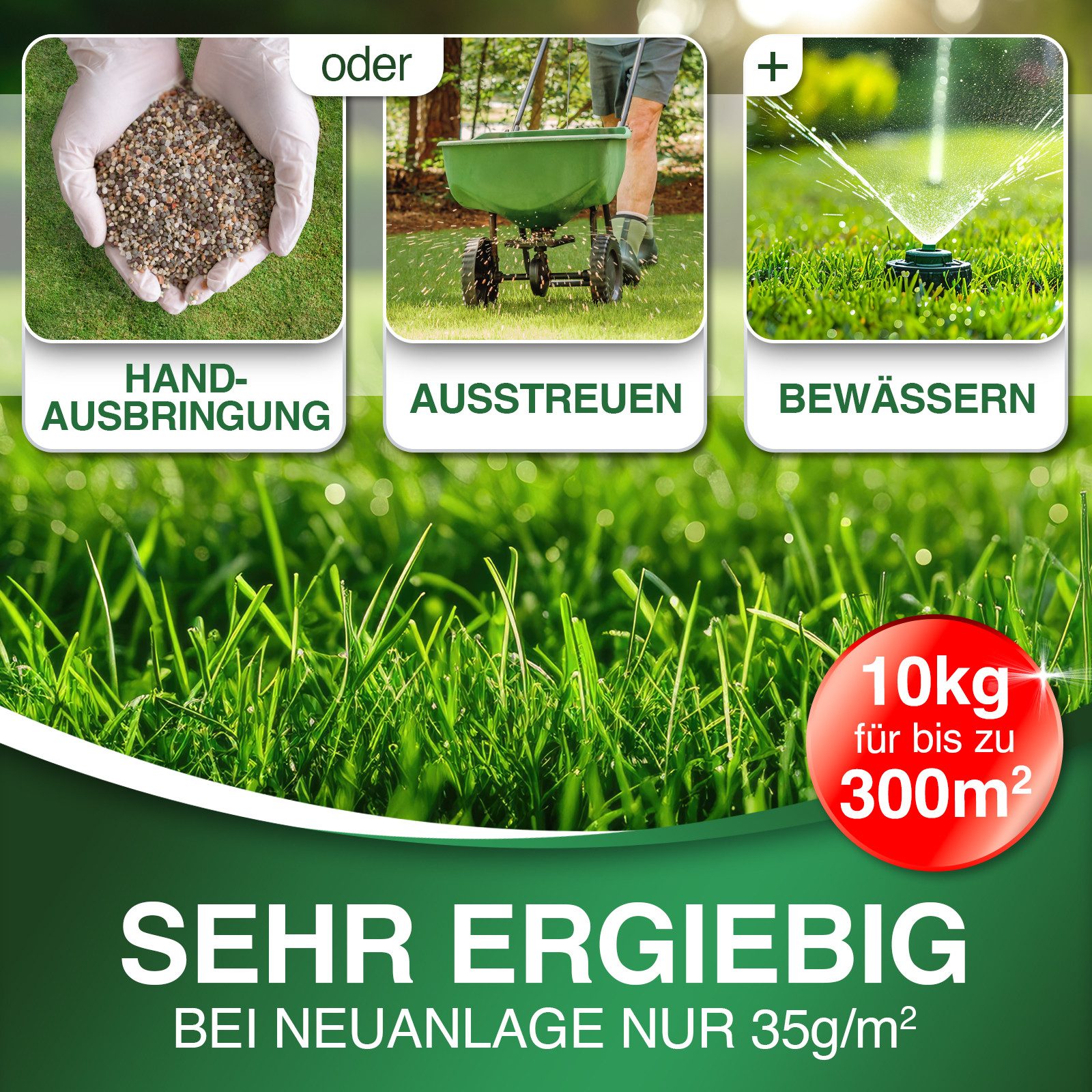 DÜNGEMEISTER Rasen-Langzeitdünger Rasendünger Frühjahr/Sommer für sofort günstig online kaufen