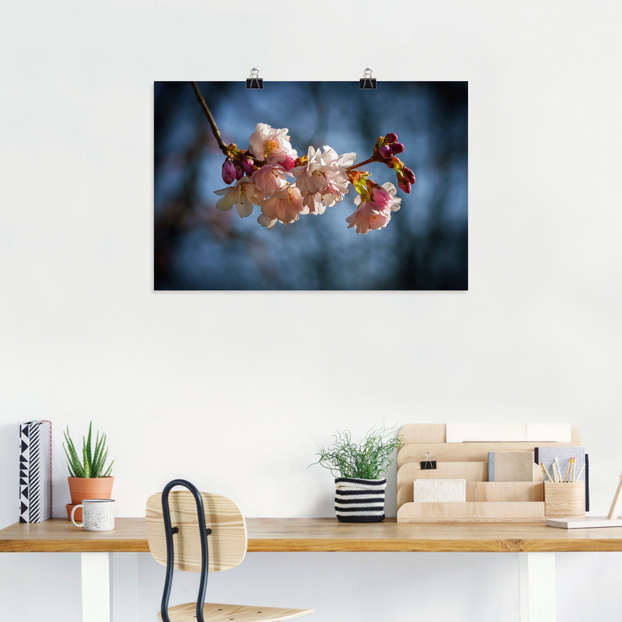 Leinwandbild, Kirschblüte Wandaufkleber (1 in im Artland versch. Blumenbilder als Poster oder Frühling, Wandbild Größen St), Alubild,