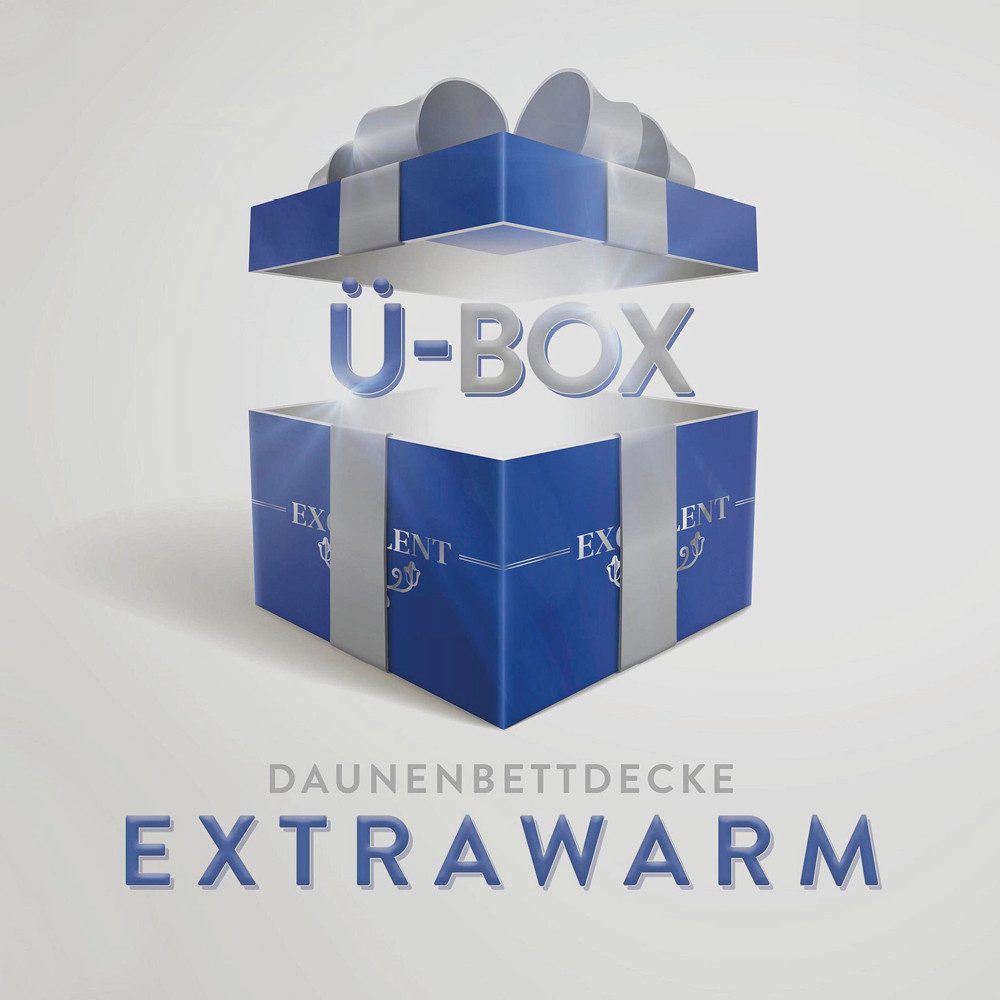 Excellent Daunenbettdecke Überraschungsbox, Füllung: 90% Daunen, 10% Federn, Bezug: Baumwolle, absoluter Sonderpreis, wegen Lagerräumung, Solange der Vorrat reicht