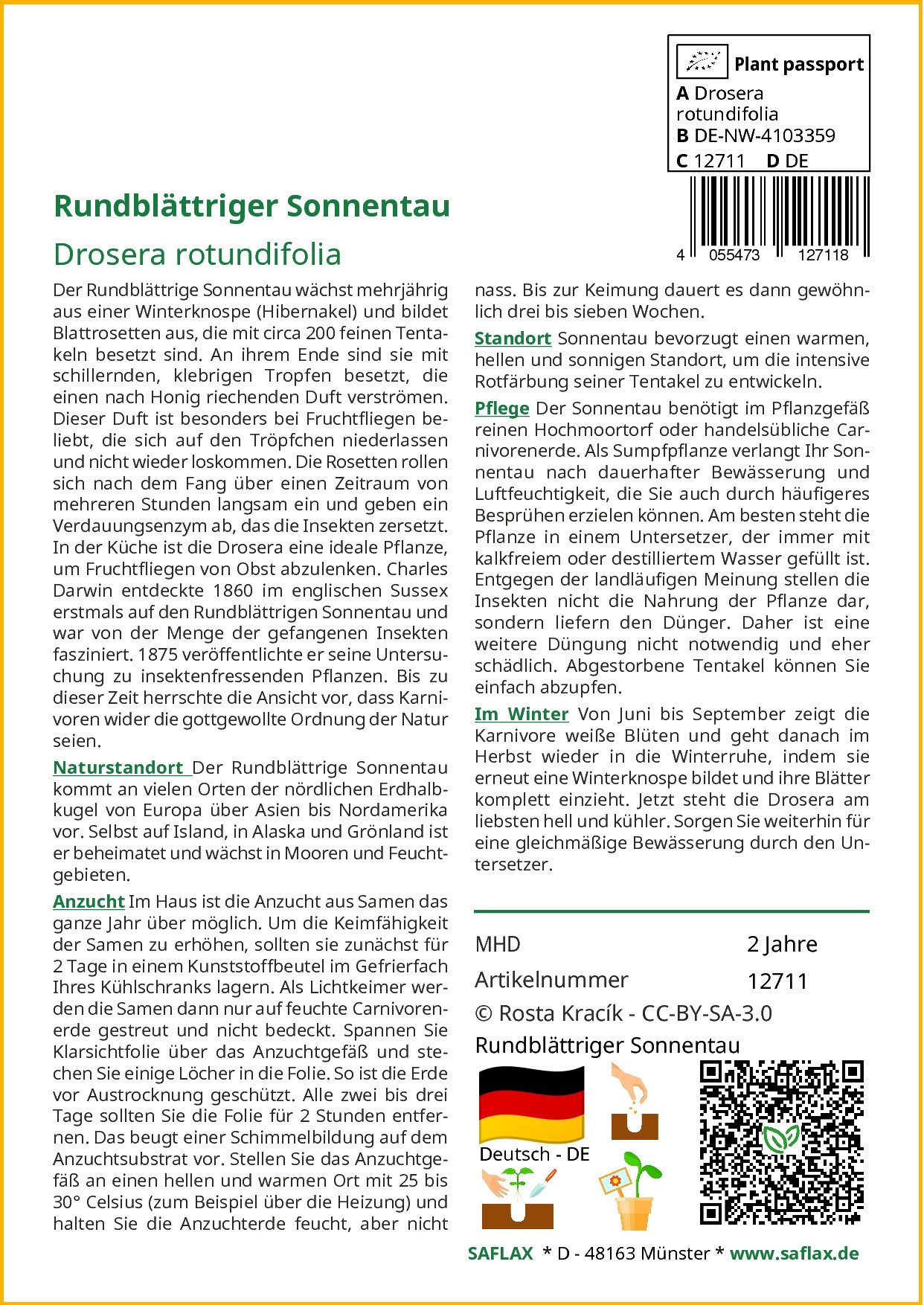 SAFLAX Blumensamen SAFLAX - Samen - Rundblättriger Sonnentau – Bild 2 von 5