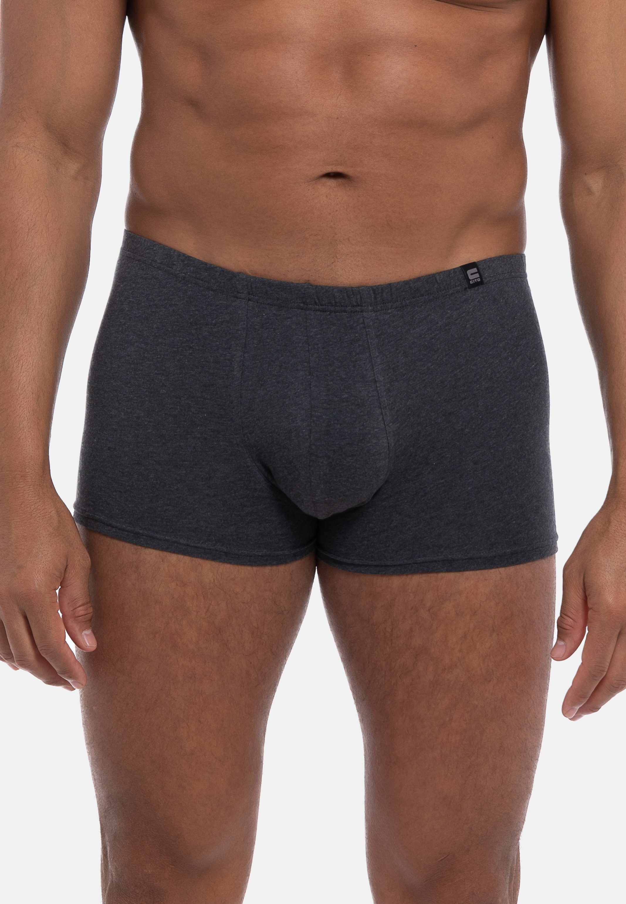 CiTO Retro Boxer Modern Basics - 95/5 (Spar-Set, 4-St) Pants - Baumwolle - günstig online kaufen