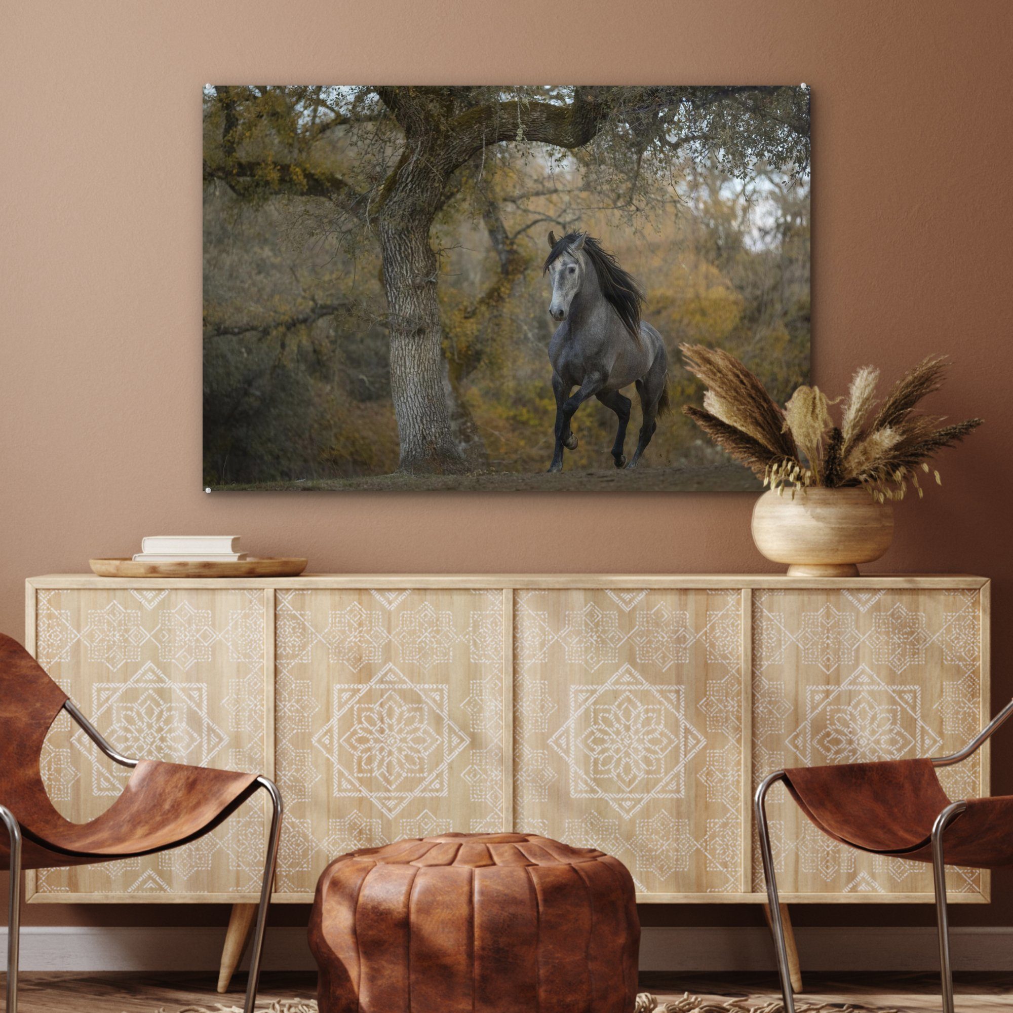 Herbst Andalusier, - - St), MuchoWow (1 Pferd Schlafzimmer Acrylglasbilder Wohnzimmer Acrylglasbild Baum - &