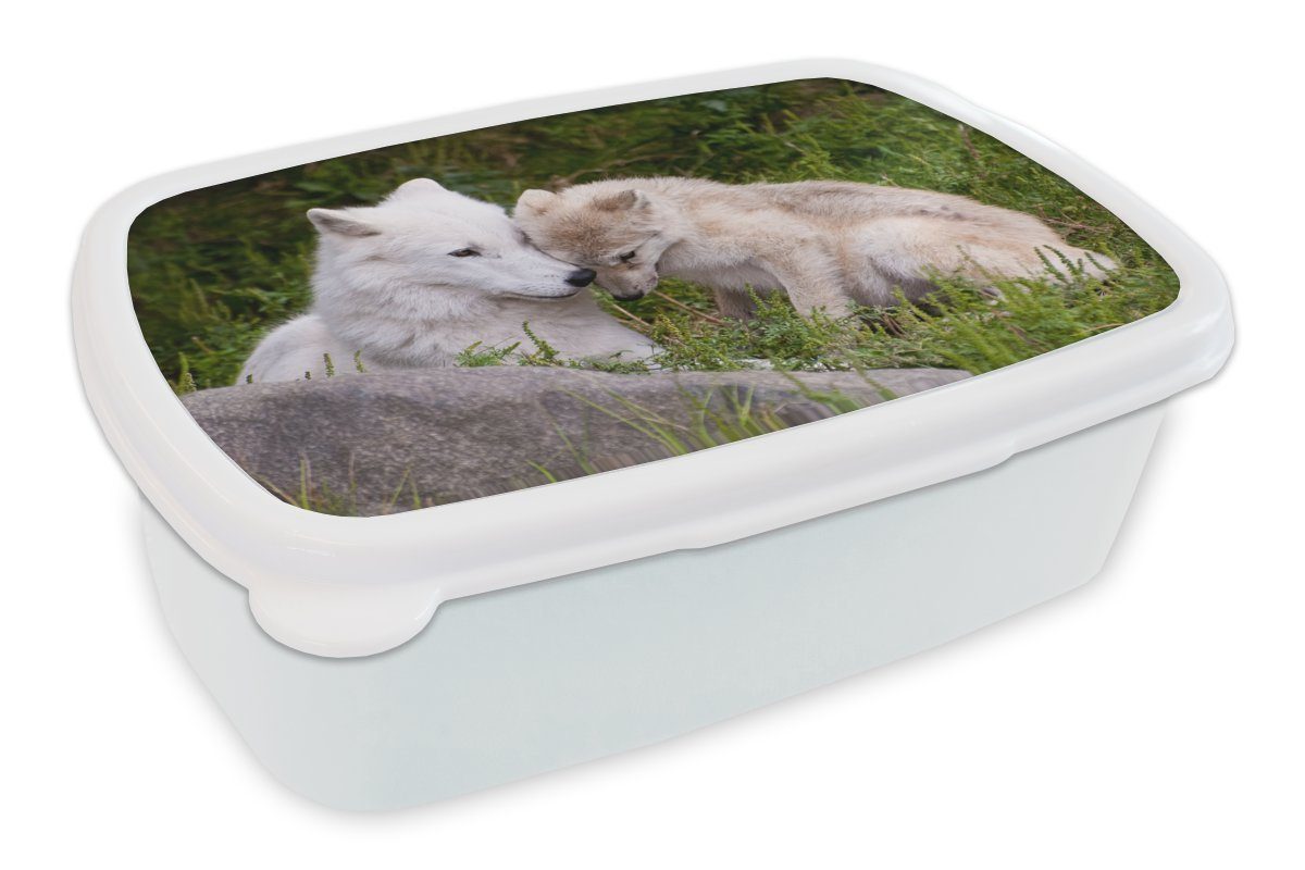 MuchoWow Lunchbox Wolf - Welpe - Gras, Kunststoff, (2-tlg), Brotbox für Kinder und Erwachsene, Brotdose, für Jungs und Mädchen weiß
