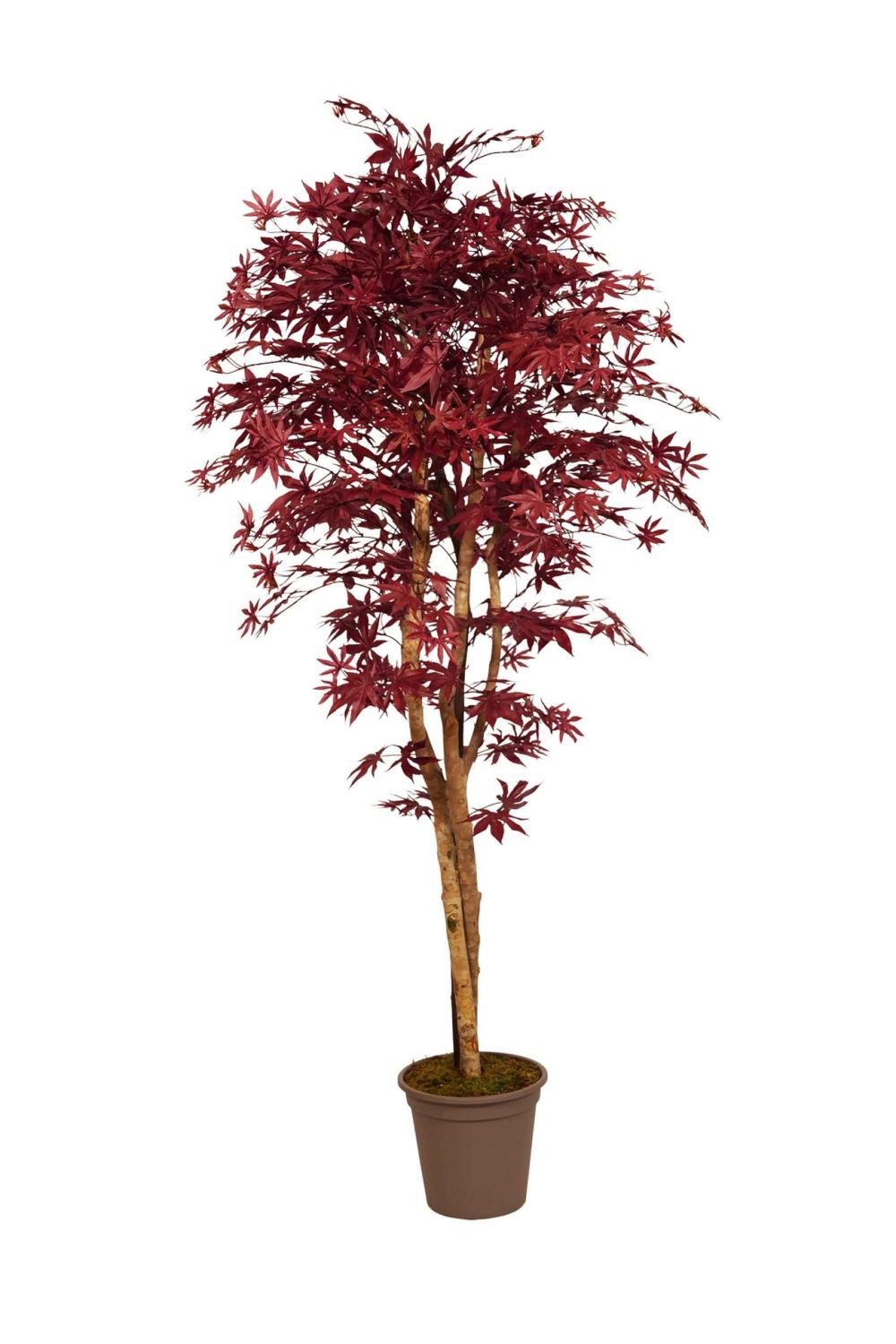 Kunstbaum Künstlicher Japanischer Ahorn GORDJUSCHA, Echtstämme, dunkelrot, 100cm Ahorn (Japanischer Ahorn), artplants, Höhe 100.0 cm