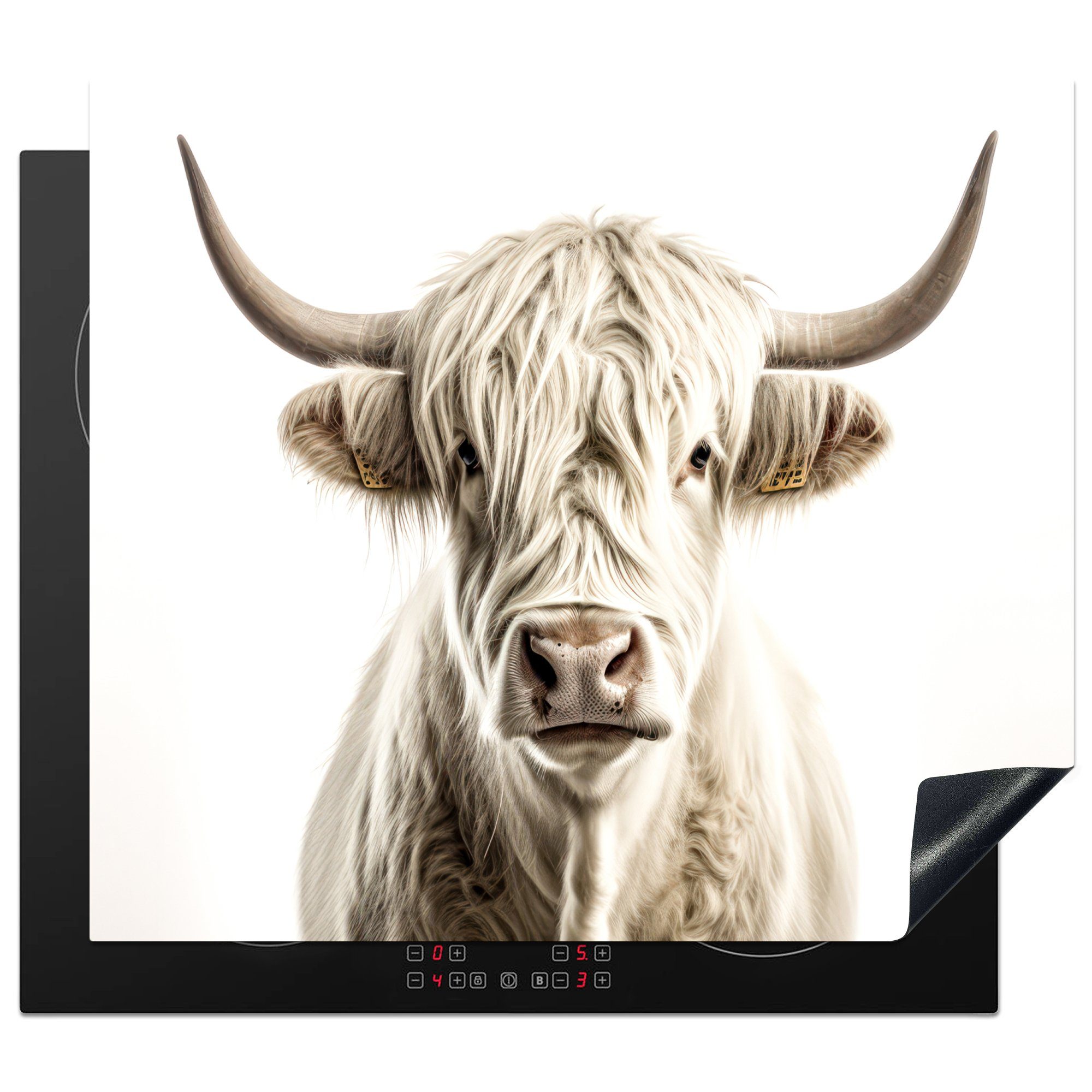 MuchoWow Herdblende-/Abdeckplatte Schottischer Hochländer - Tiere - Porträt - Kühe - Weiß, Vinyl, (1 tlg), 60x52 cm, Mobile Arbeitsfläche nutzbar, Ceranfeldabdeckung