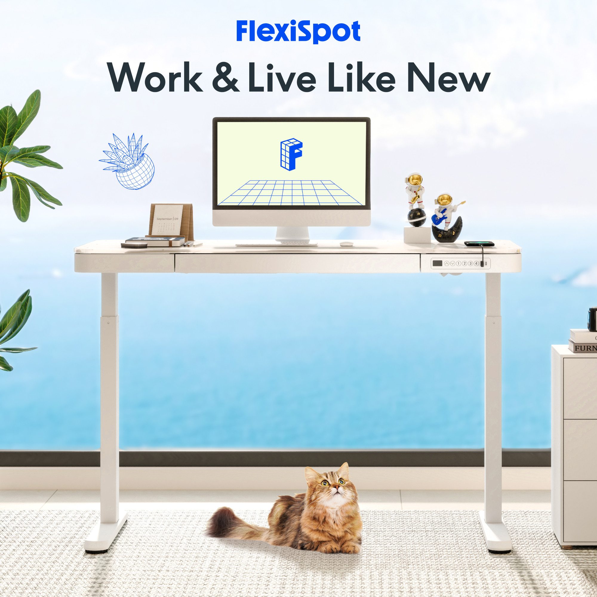 FLEXISPOT Schreibtisch Höhenverstellbarer Schreibtisch MIT Schubladen (Glas günstig online kaufen