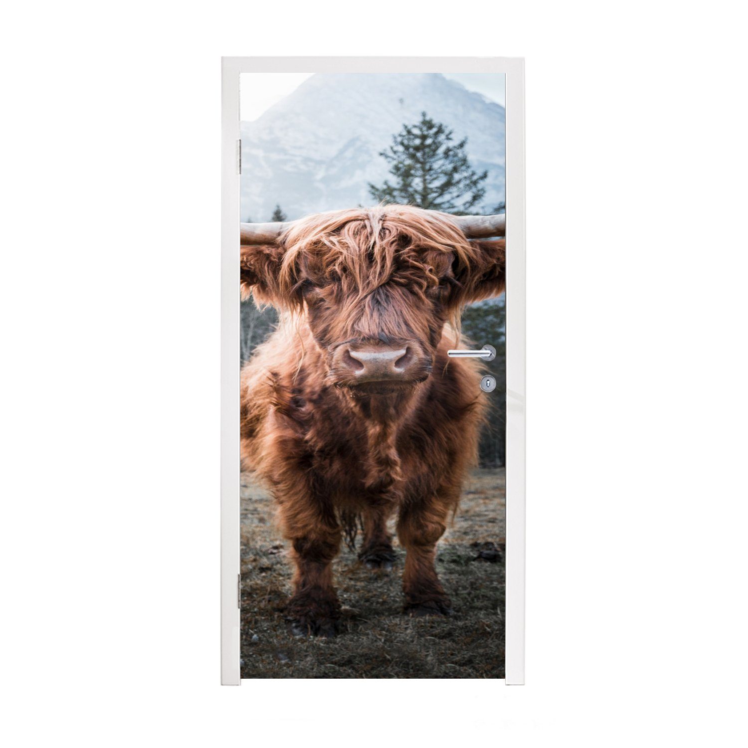 MuchoWow Türtapete Schottischer Highlander - Tier - Berge, Matt, bedruckt, (1 St), Fototapete für Tür, Türaufkleber, 75x205 cm