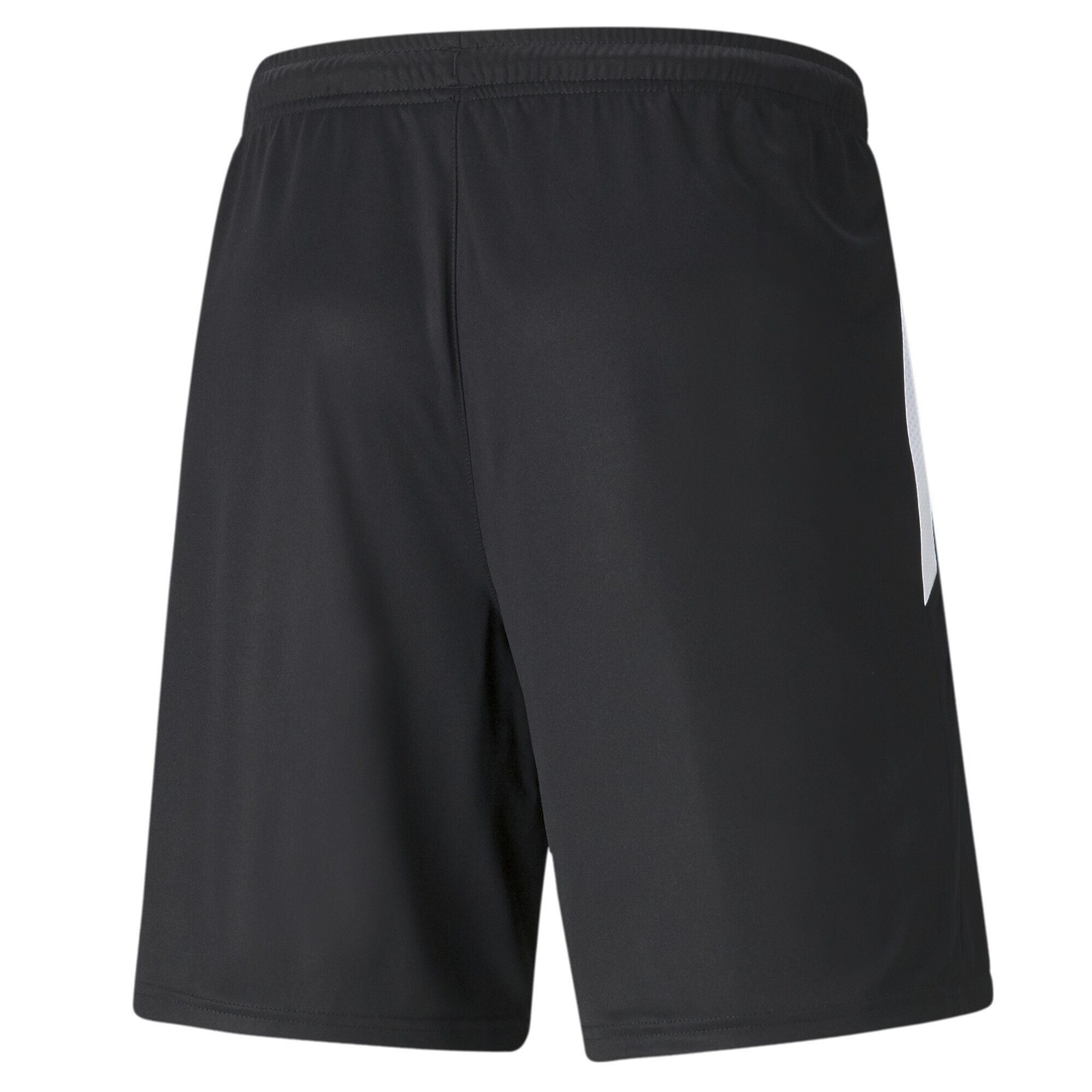 Fußball-Shorts Training Herren PUMA 2 teamLIGA Sporthose