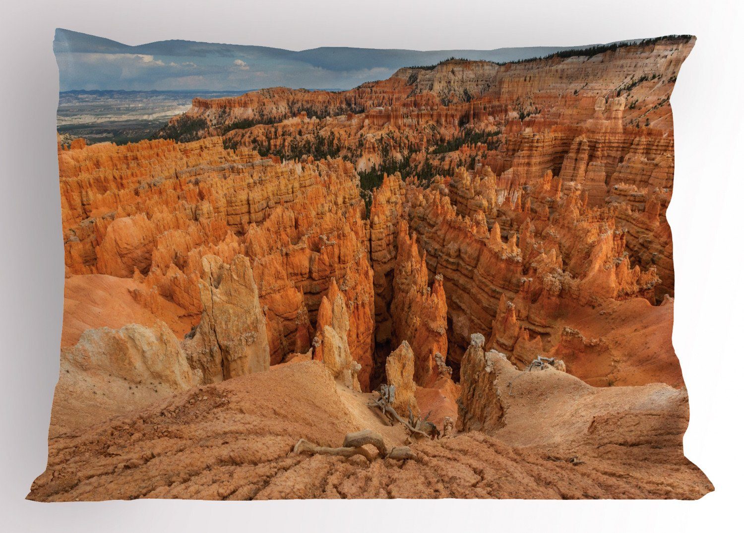 Abakuhaus Kissenbezug »Dekorativer Standard King Size Gedruckter