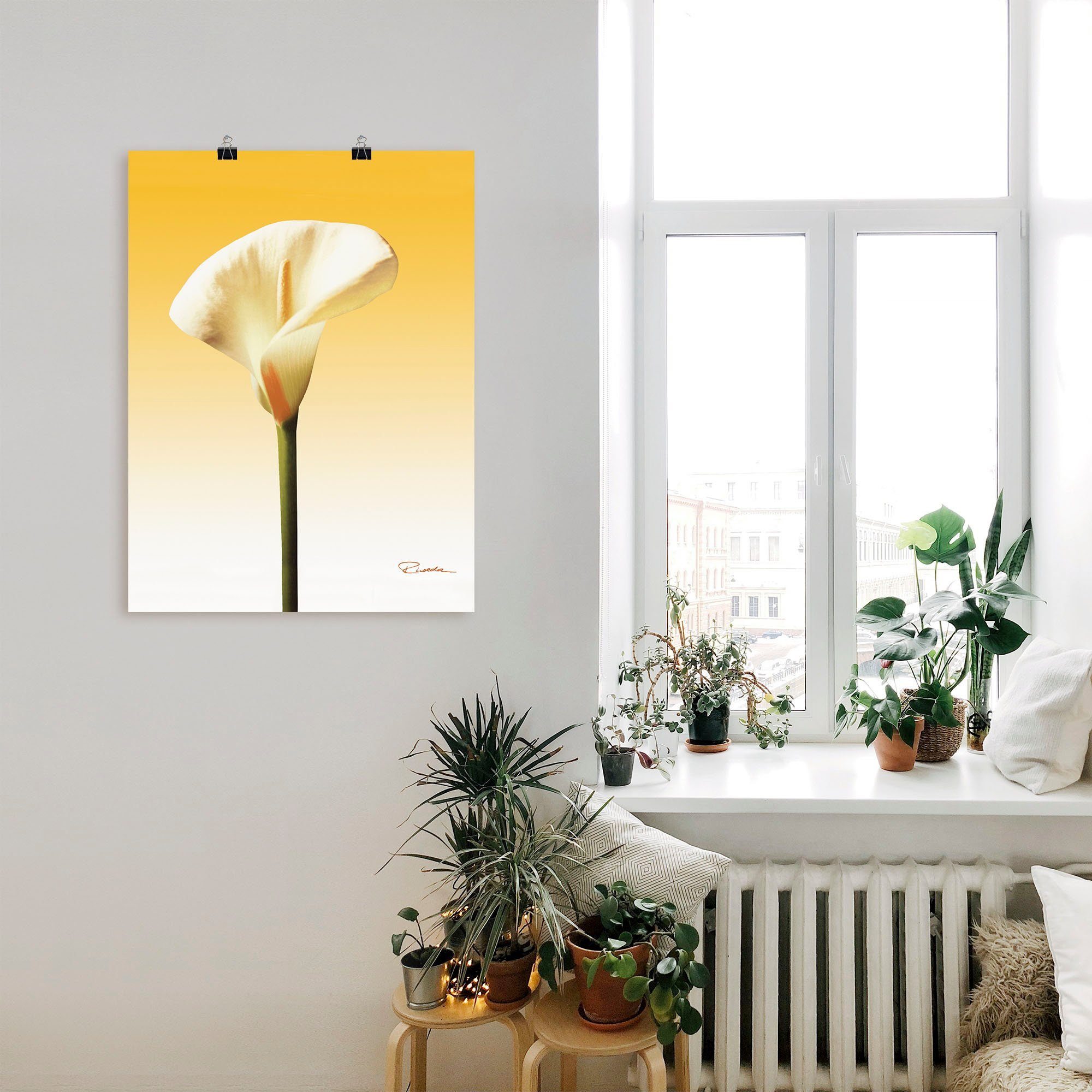 Artland Wandbild Sonnenschein versch. Größen Alubild, als Leinwandbild, oder in St), Poster (1 II, Calla Blumenbilder Wandaufkleber