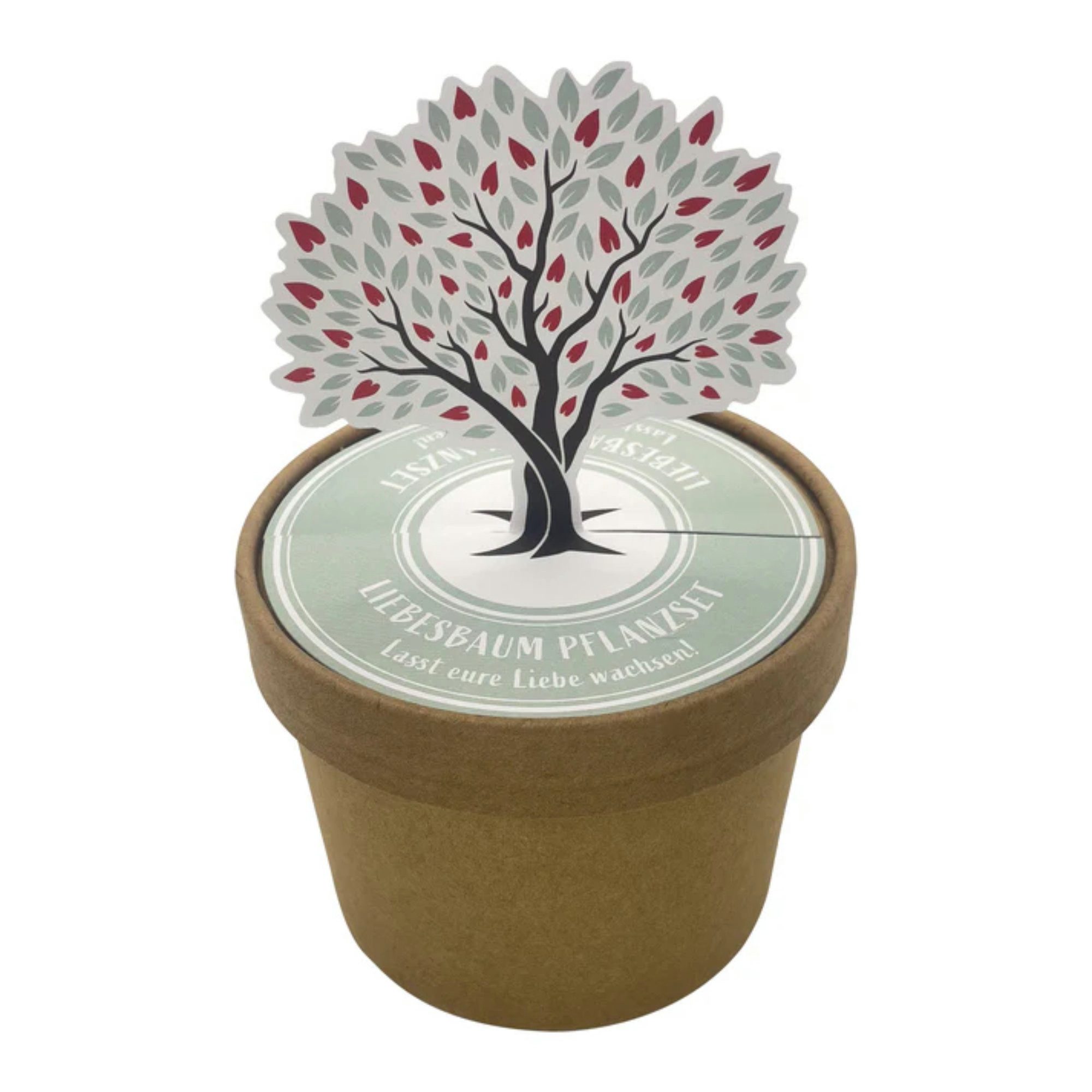 Wunderle Wundertüte Liebesbaum Pott für wachsende Liebe ein Leben lang, Valentinstag Geschenk, für Mann u. Frau, Geschwister, Freundin, Freund