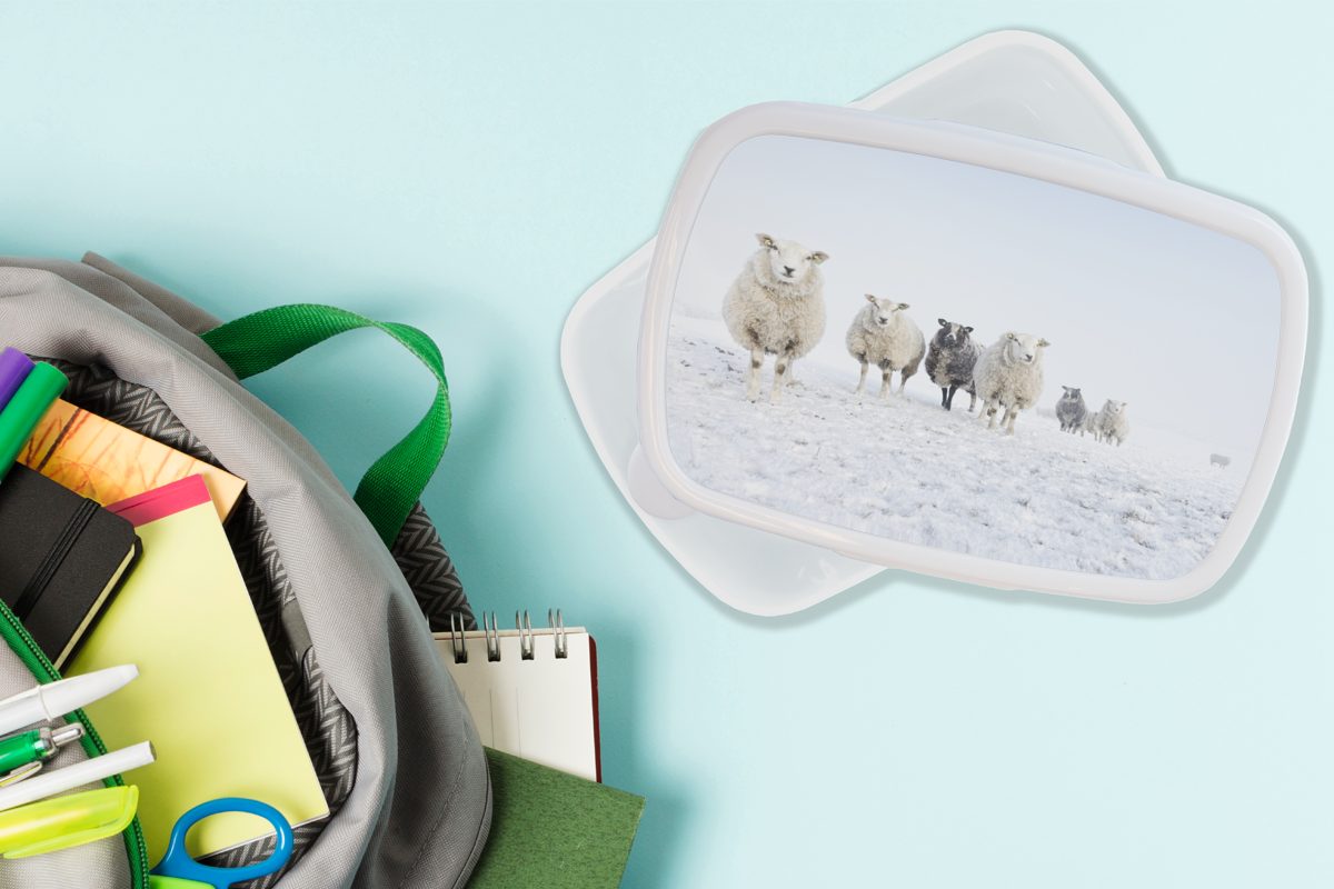 Brotbox und - Schnee, und für Kinder MuchoWow - Schafe Erwachsene, weiß Kunststoff, Lunchbox Brotdose, Wolle Jungs (2-tlg), Mädchen für