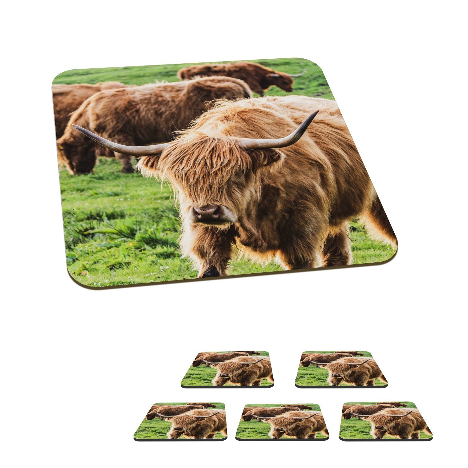 MuchoWow Glasuntersetzer Schottischer Highlander - Kühe - Tiere, Zubehör für Gläser, 6-tlg., Glasuntersetzer, Tischuntersetzer, Korkuntersetzer, Untersetzer, Tasse