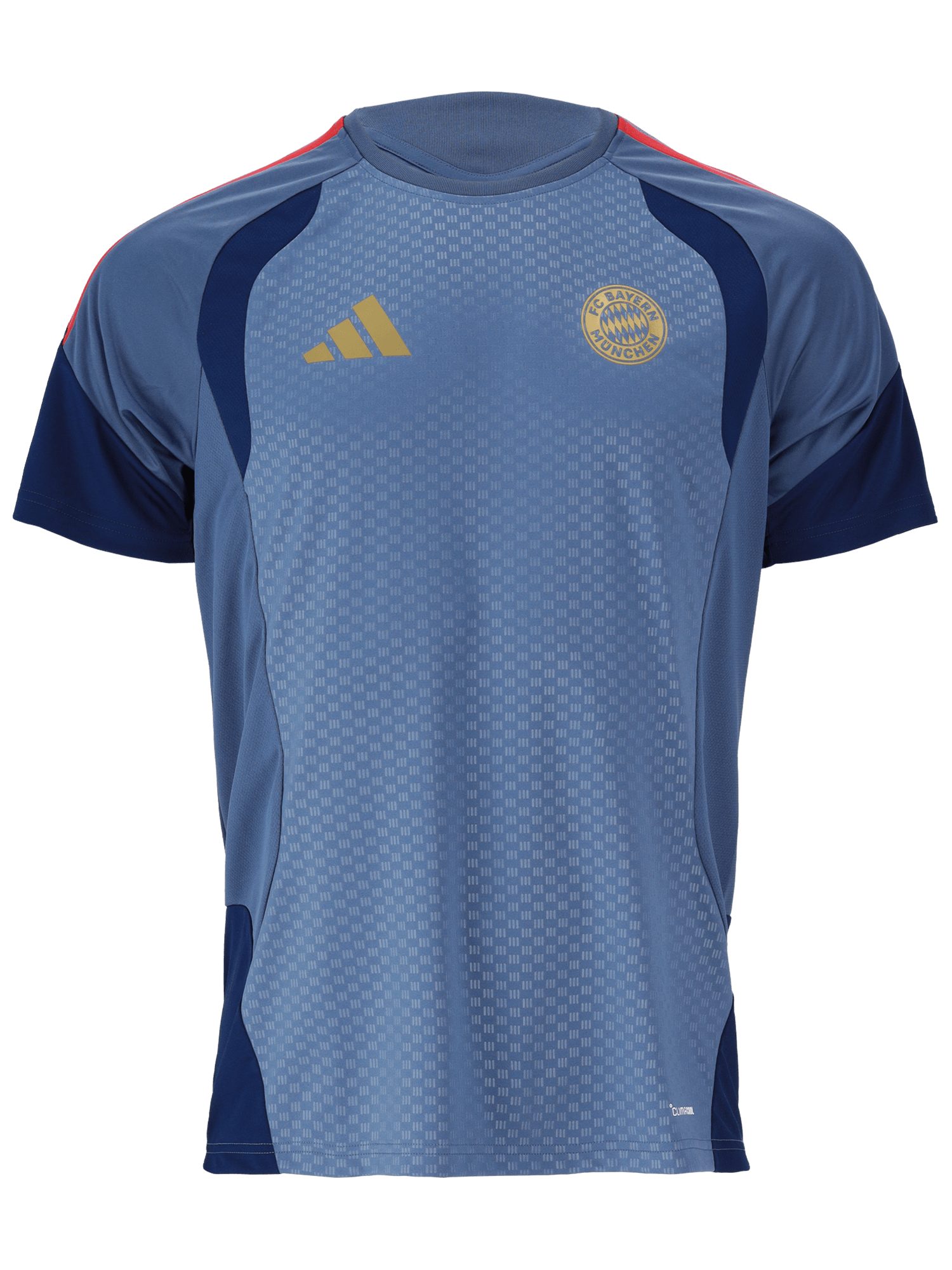 T-Shirt FC Bayern München, Trainingsshirt Teamline, Herren, Blau